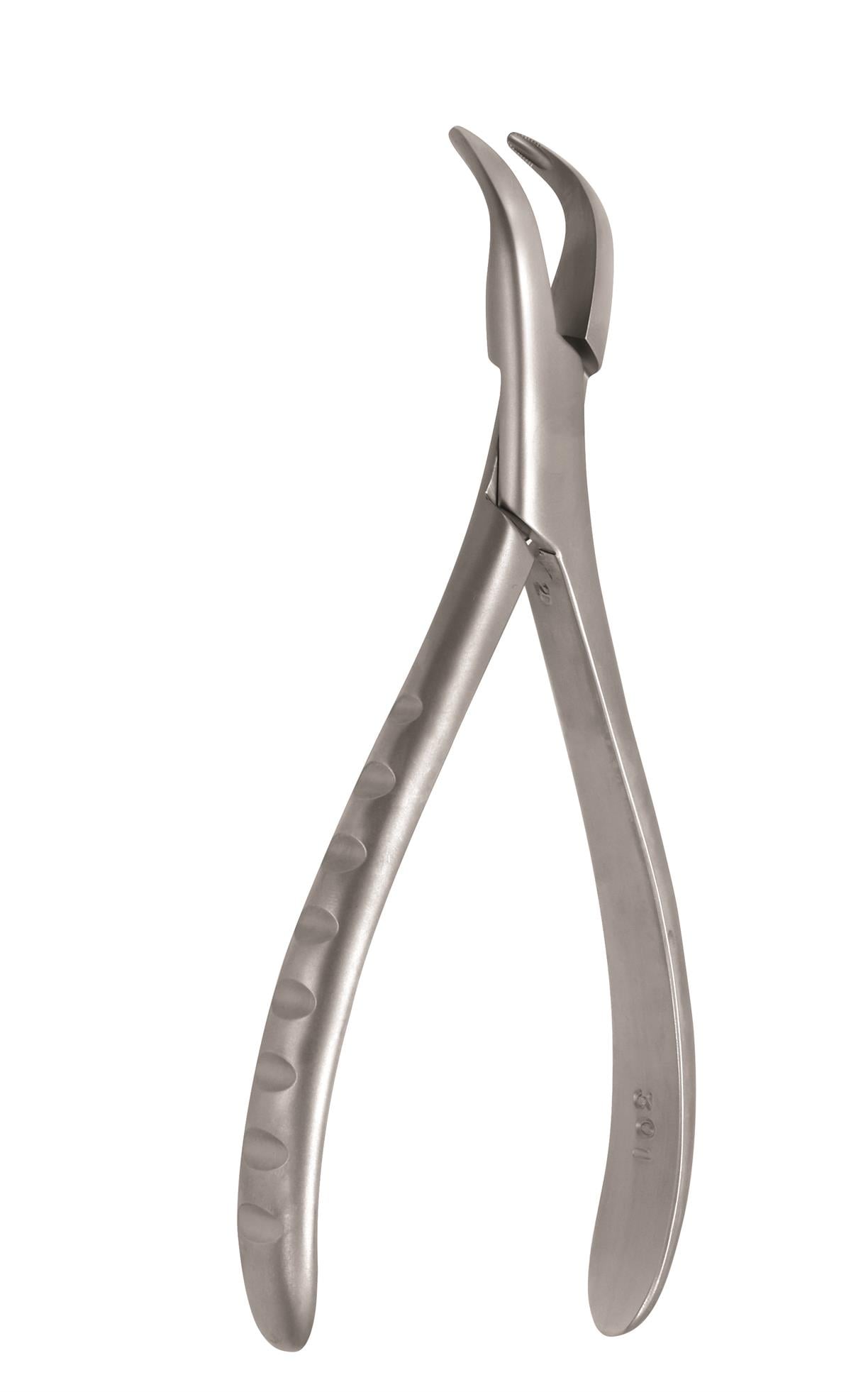 ASİDENTOSUNG(FX301)(FX301) Extraction Forcep DAVYE - YETİŞKİN ALT KÖK