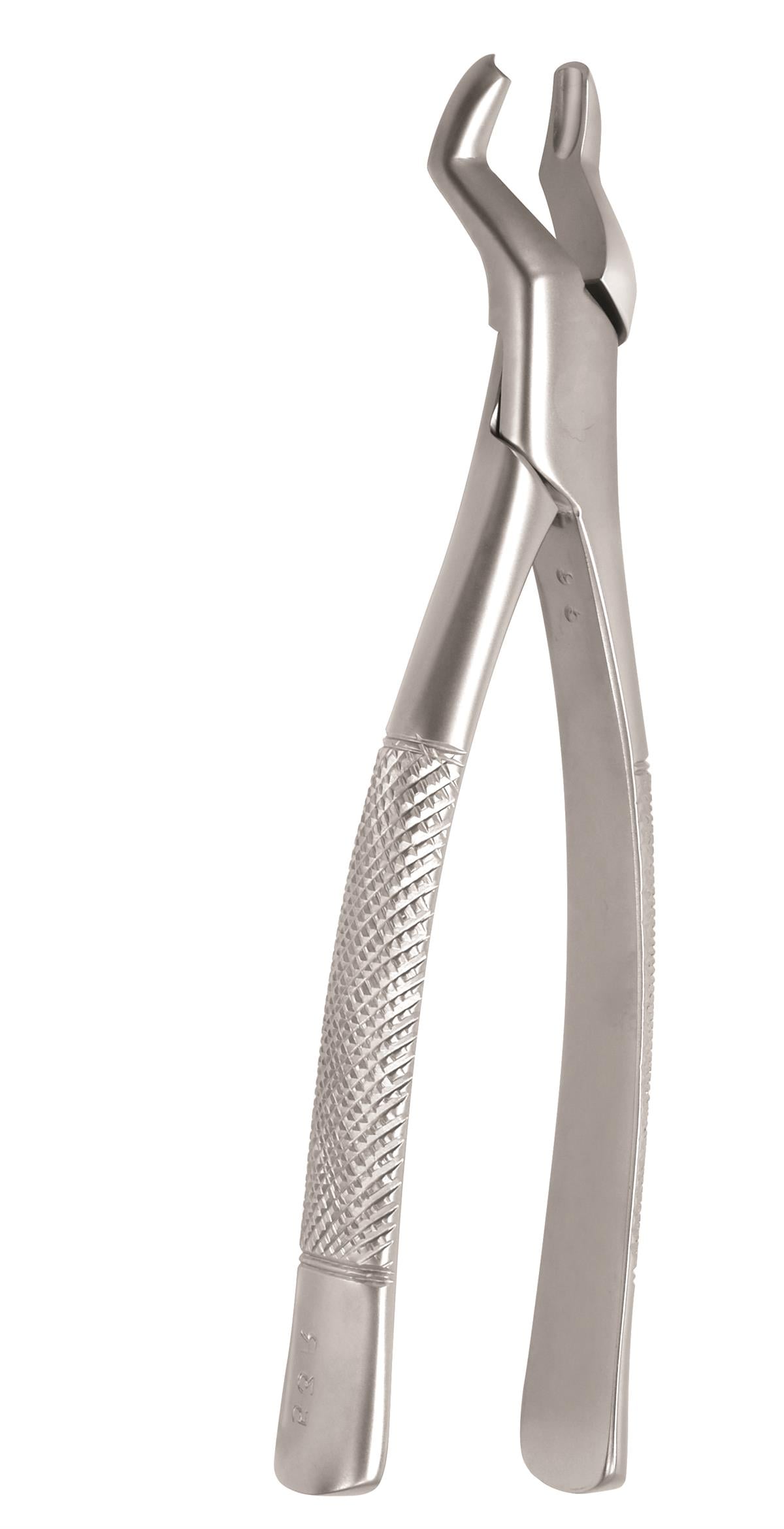 ASİDENTOSUNG(FX53R)(FX53R) Extraction Forcep DAVYE YETİŞKİN AMERİKAN TİP