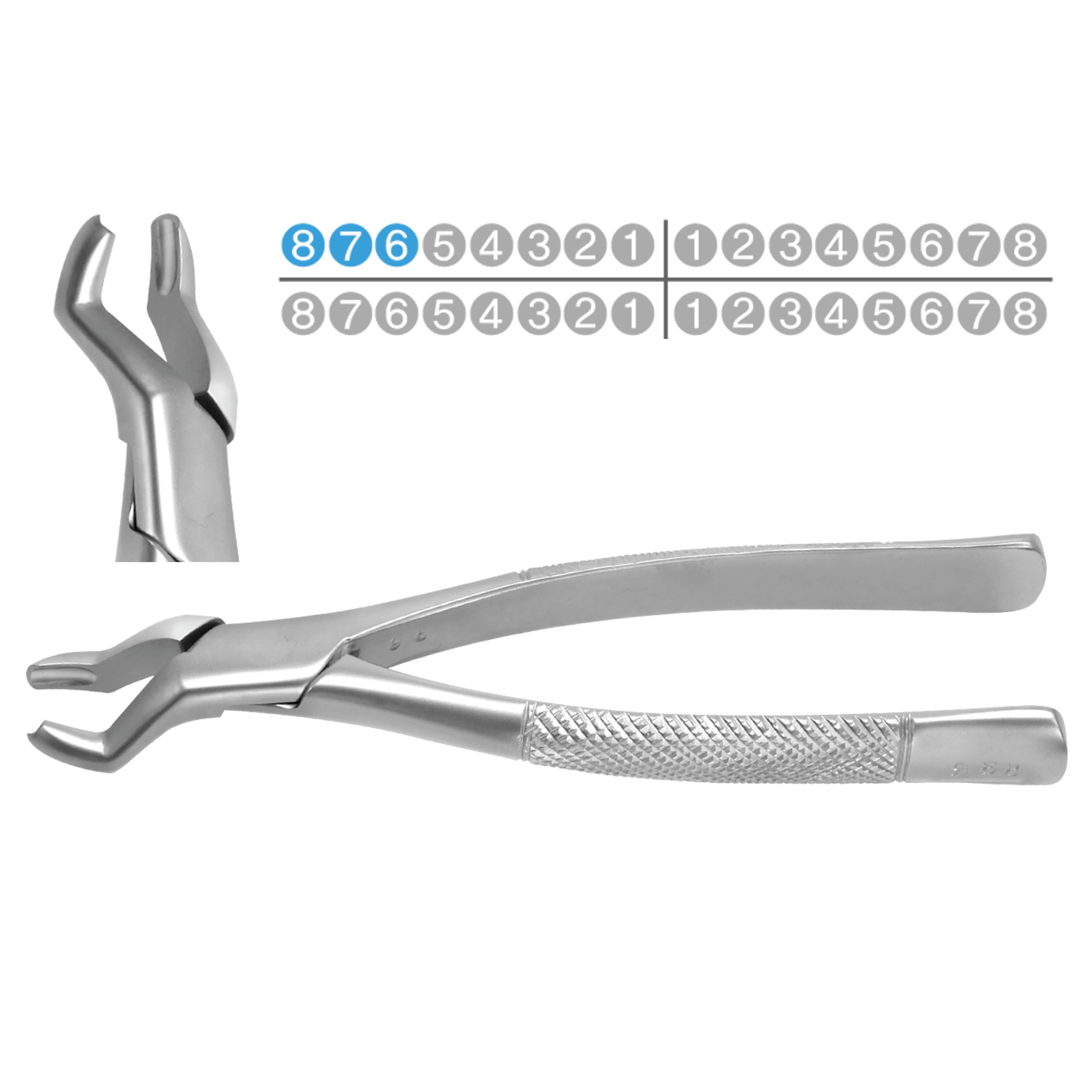 ASİDENTOSUNG(FX53R)(FX53R) Extraction Forcep DAVYE YETİŞKİN AMERİKAN TİP