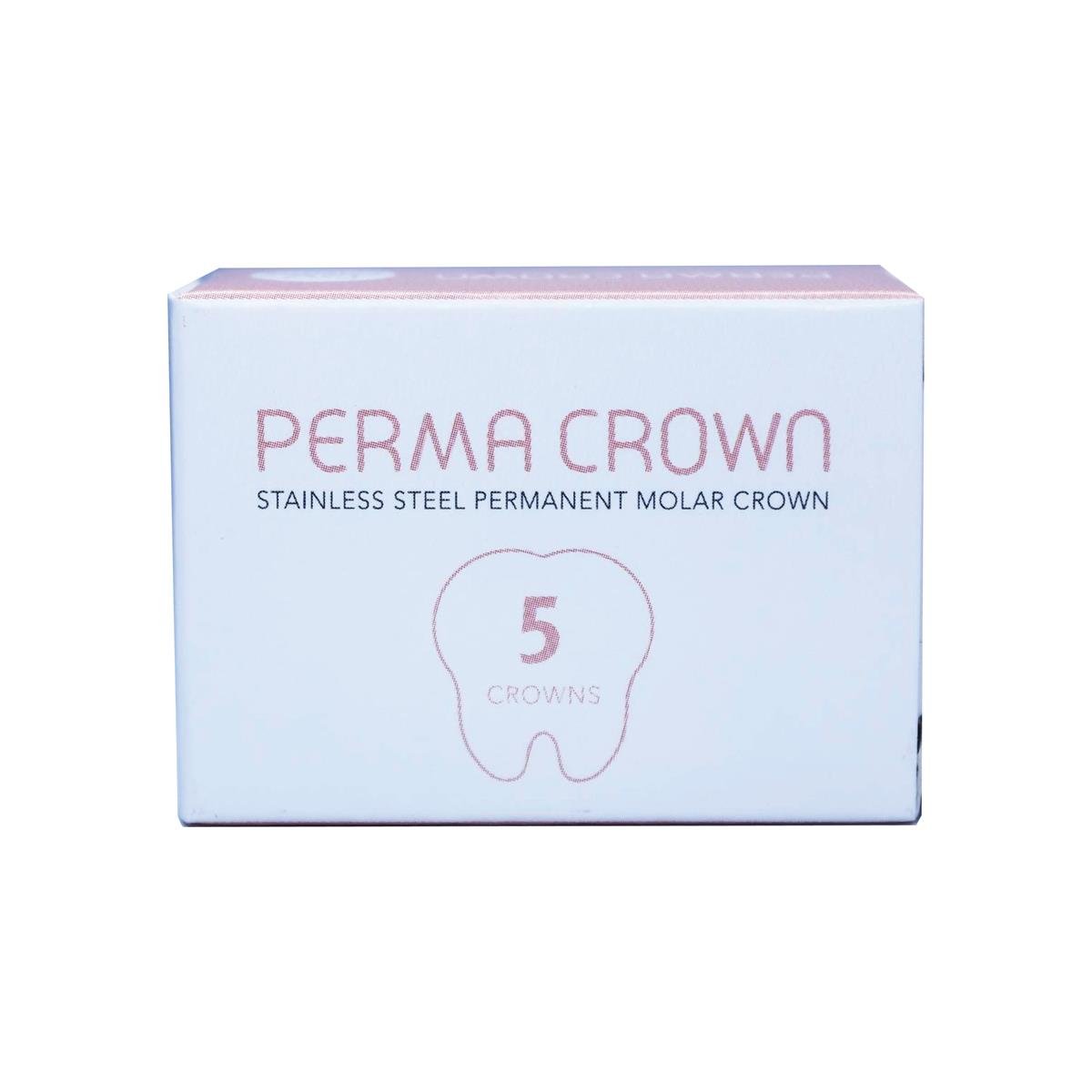 ASİDENTPERMA CROWN6-LR-2PASLANMAZ ÇELİK KRON MOLAR DAİMİ DİŞİ PERMA CROWN ALT SAĞ 6-LR