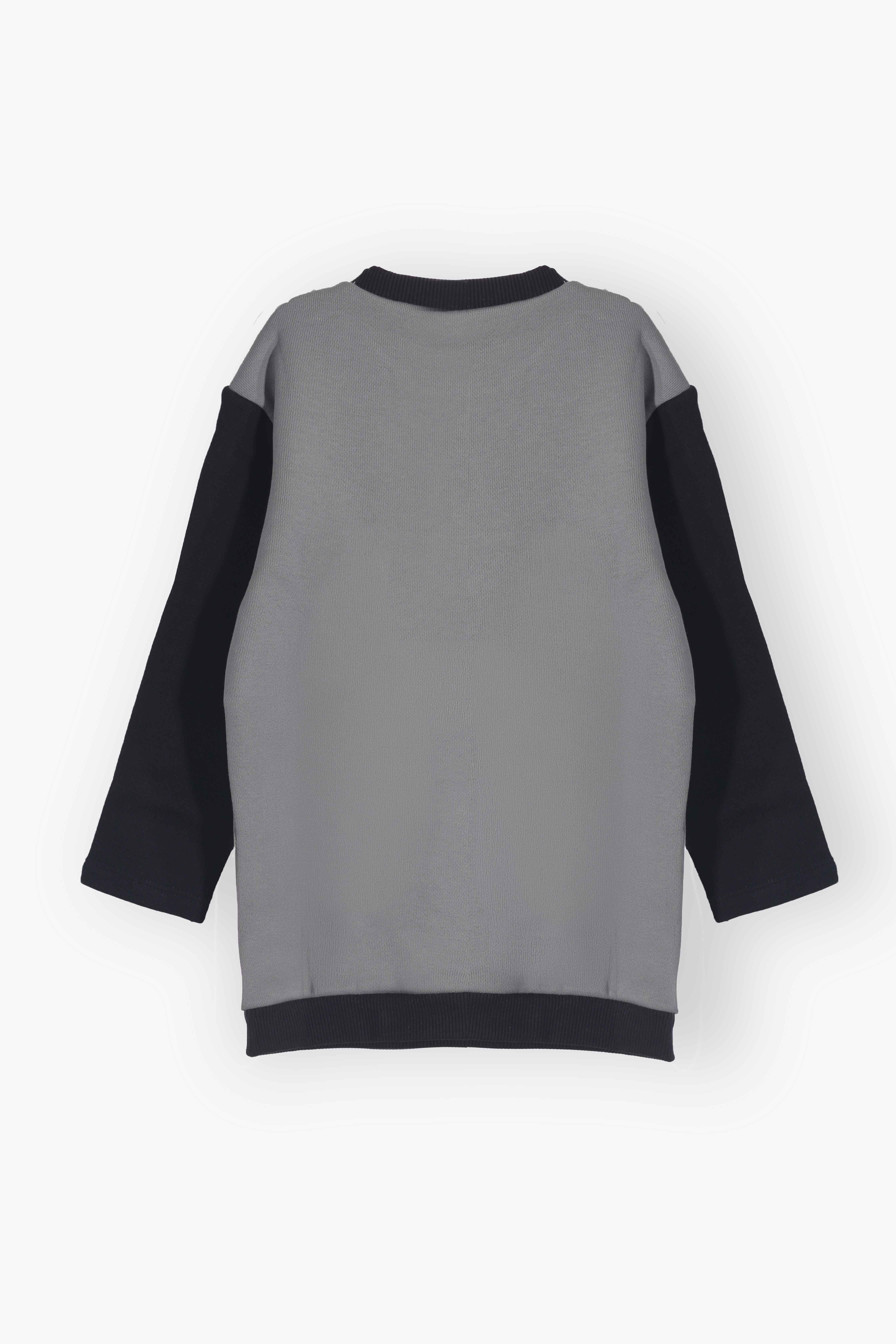 Erkek Çocuk 3 iplik Şardonsuz Nakışlı Sweatshirt (4 YAŞ - 5 YAŞ)