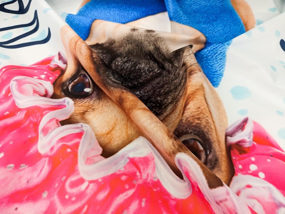 Sevimli Köpek Desenli Mavi Banyo Perdesi 180x200 cm Dijital Baskılı Su Geçirmez C Halka Hediyeli Duş PerdesiSamimi bir yemek, aile içinde hoş bir akşam masanıza uyacak masa örtüleri ve runner'lar