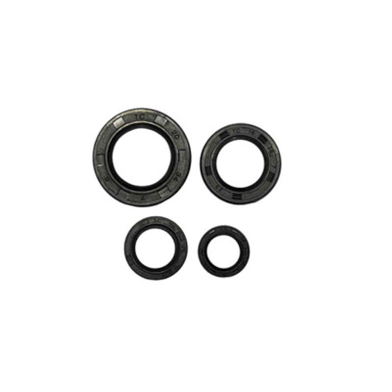 MotobirMotobir Keçe Seti Tvs Raider 125SF010173