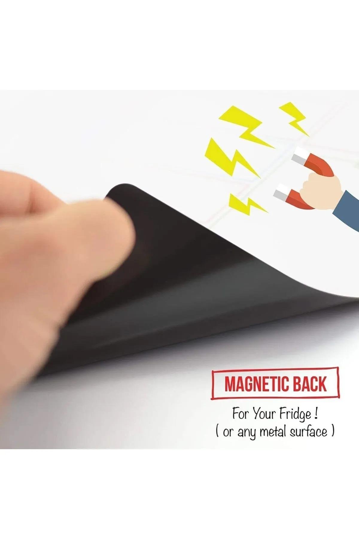 Contacall Pvc Yüzey Tabaka Levha Mıknatıs Magnet 1 mm Kalınlık 61x101 cm