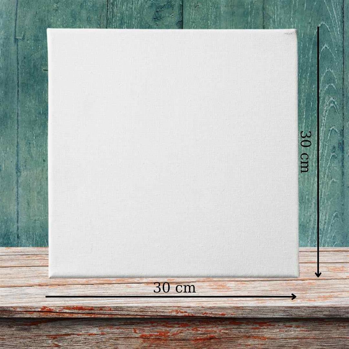 Sayılarla Boyama Seti Boş Tuval 30x30cm