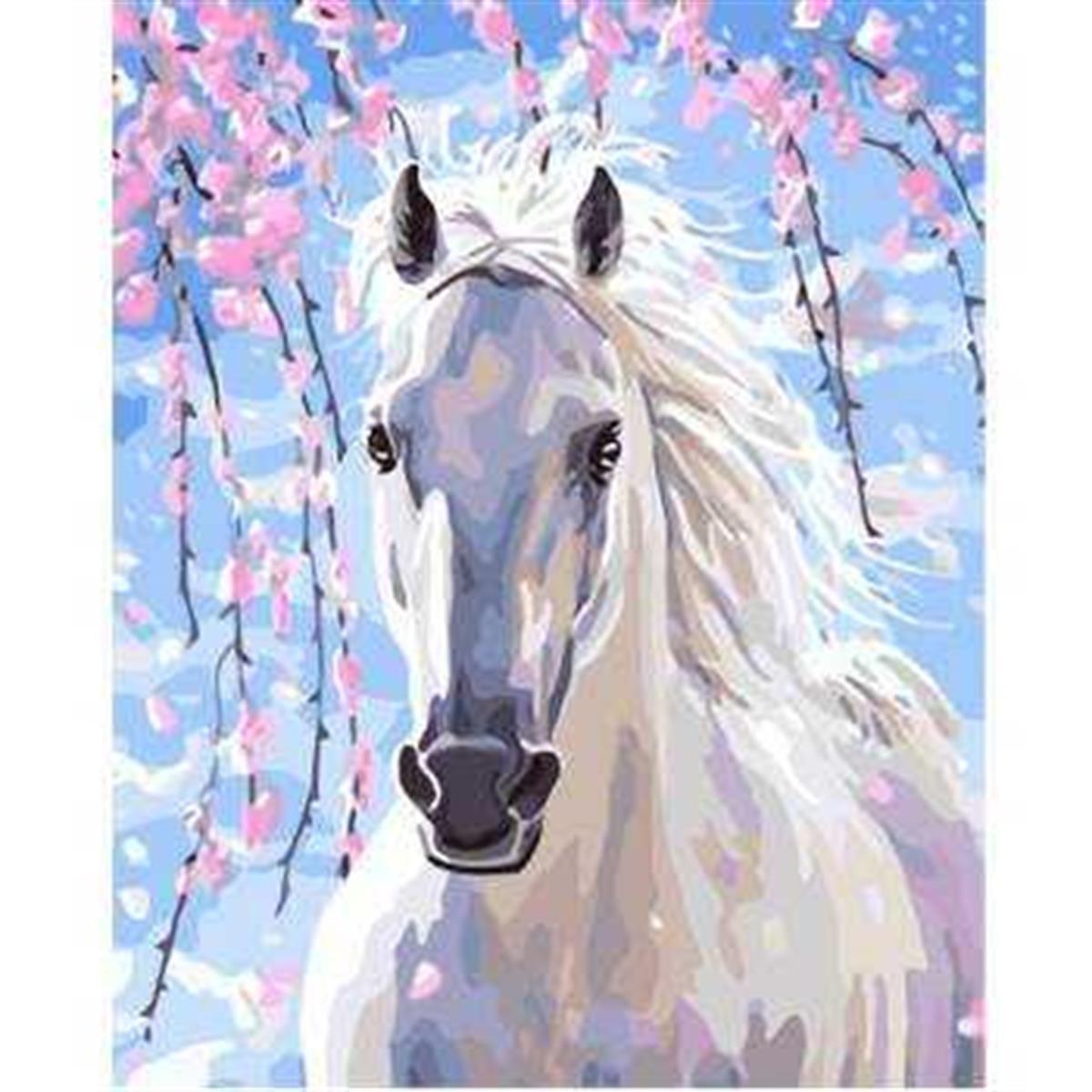 Sayılarla Boyama Seti Işıltılı Orlov 50x65cm