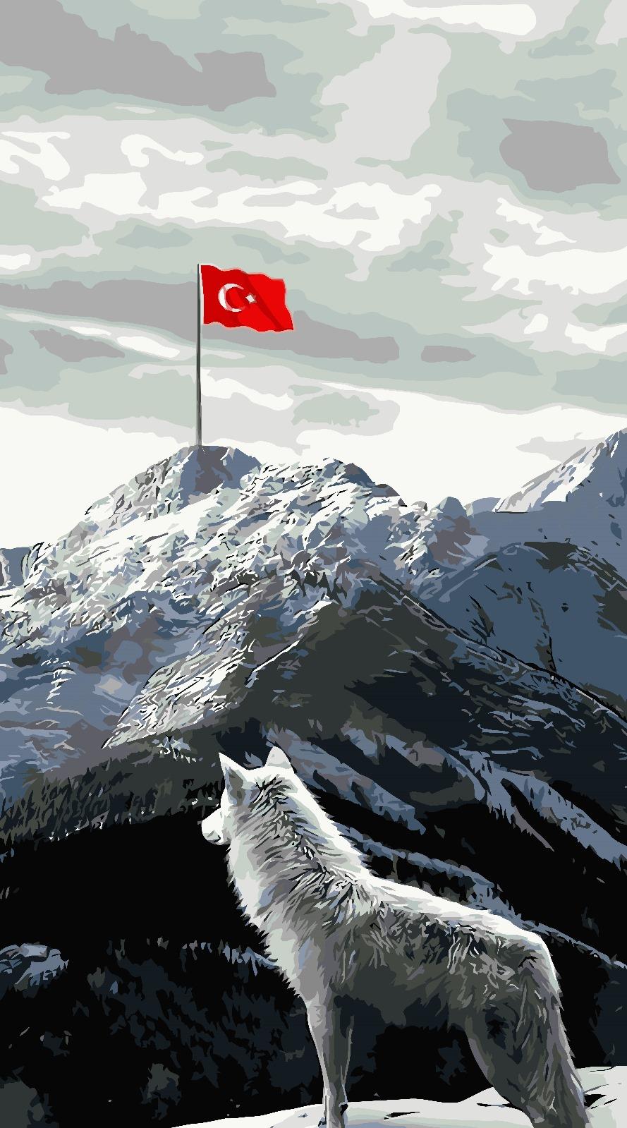 Sayılarla Boyama Seti Kurt ve Bayrak
