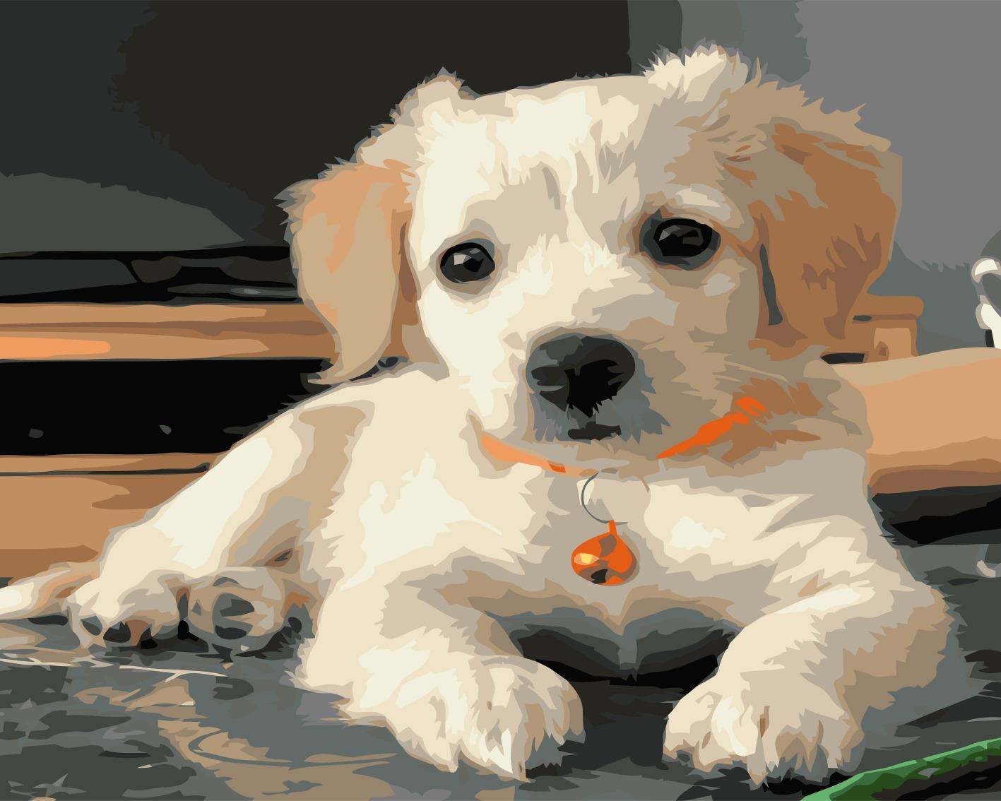 Sayılarla Boyama Seti Sevimli Dost