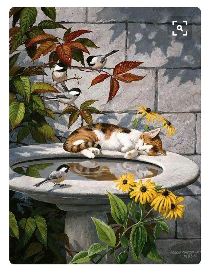 Sayılarla Boyama Seti Uyuyan Kedi ve Kuşlar