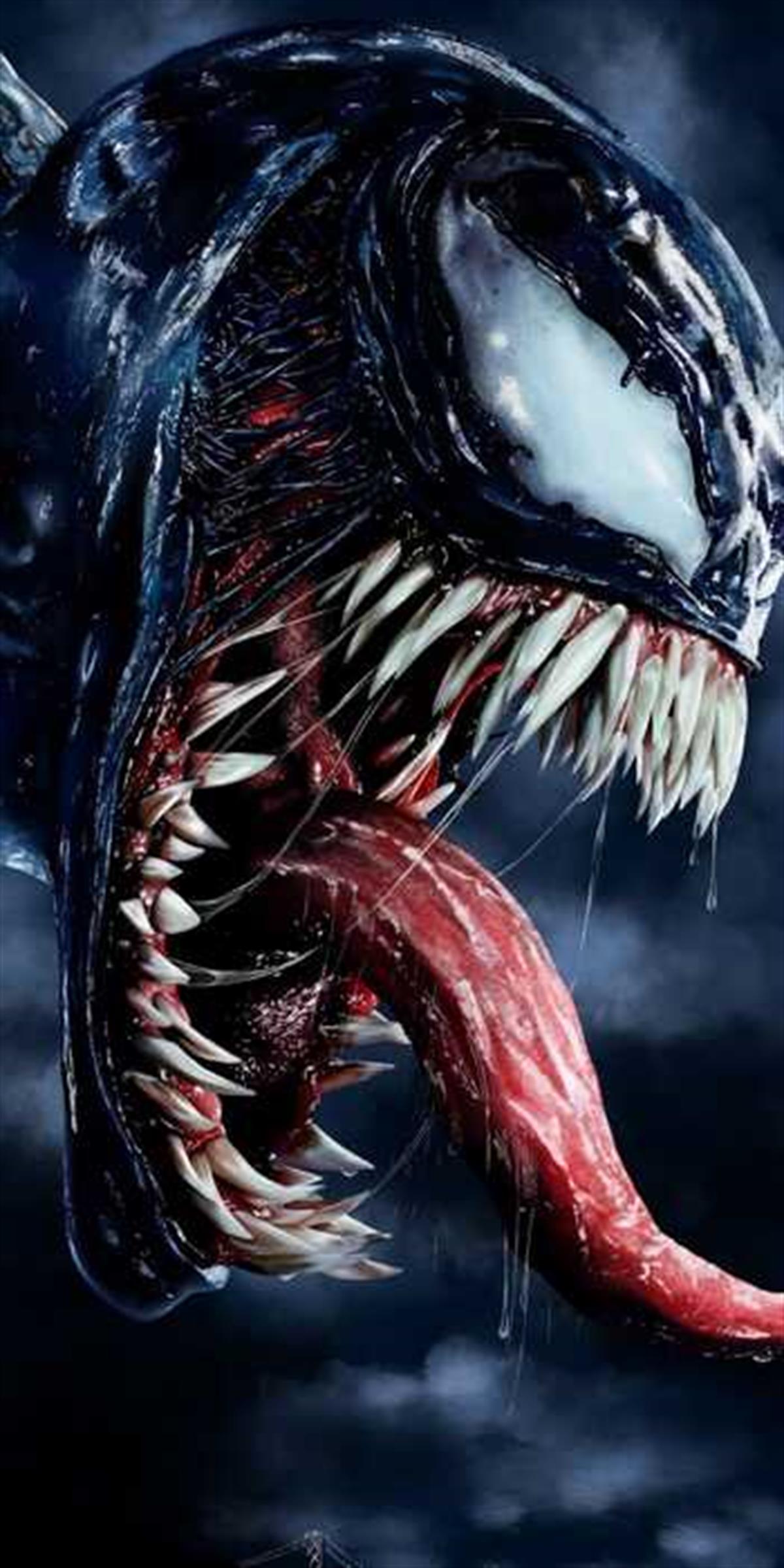 Sayılarla Boyama Seti Venom