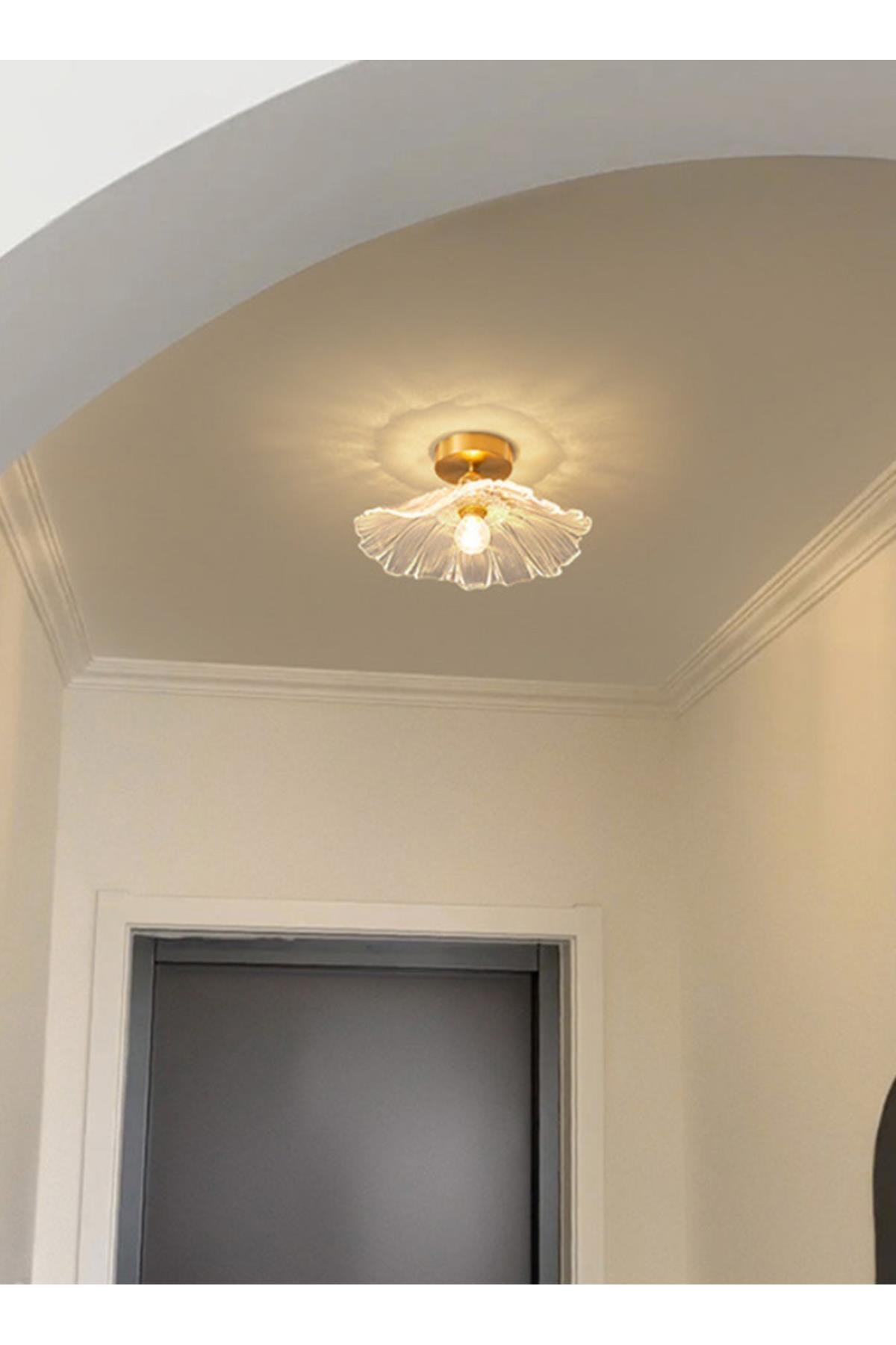 Luxury Classics Tasarım Orkide Cam Tekli Tavana Sıfır Avize Lila Mor