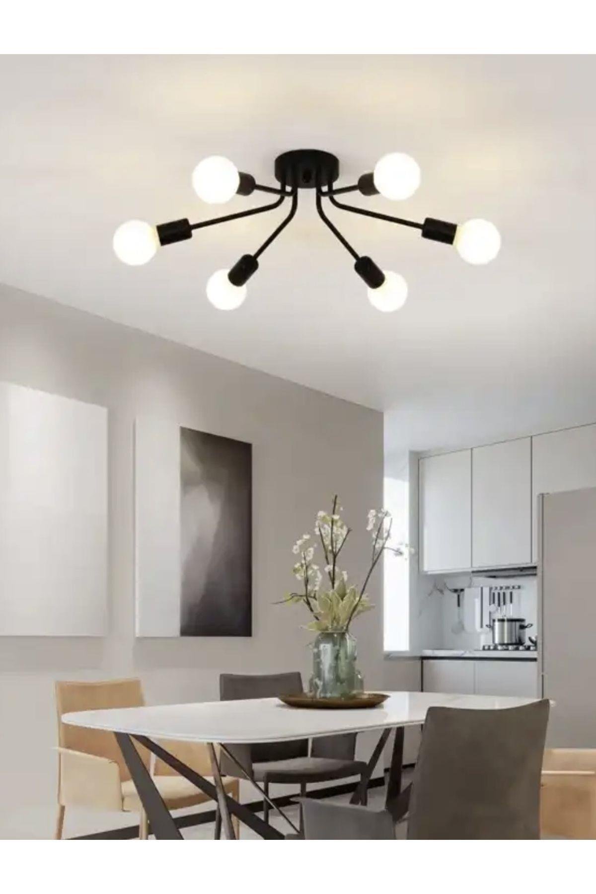 Modern Avize Tavana Sıfır Avize Mat Siyah Tasarım Avize