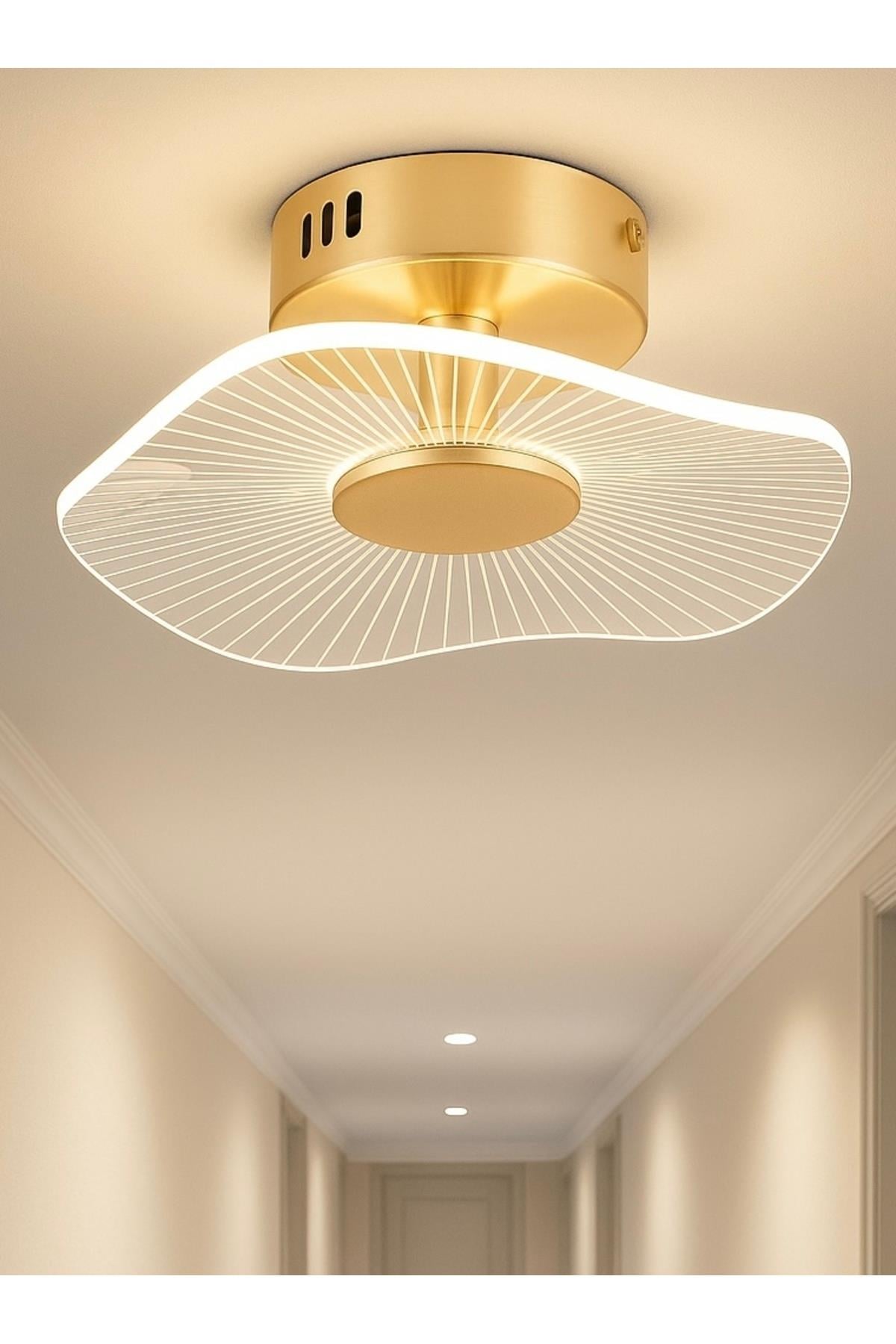 Modern Led Avize Plafonyer Tavan Avize Hol Antre Mutfak Avizesi French Gold 19Cm Çap