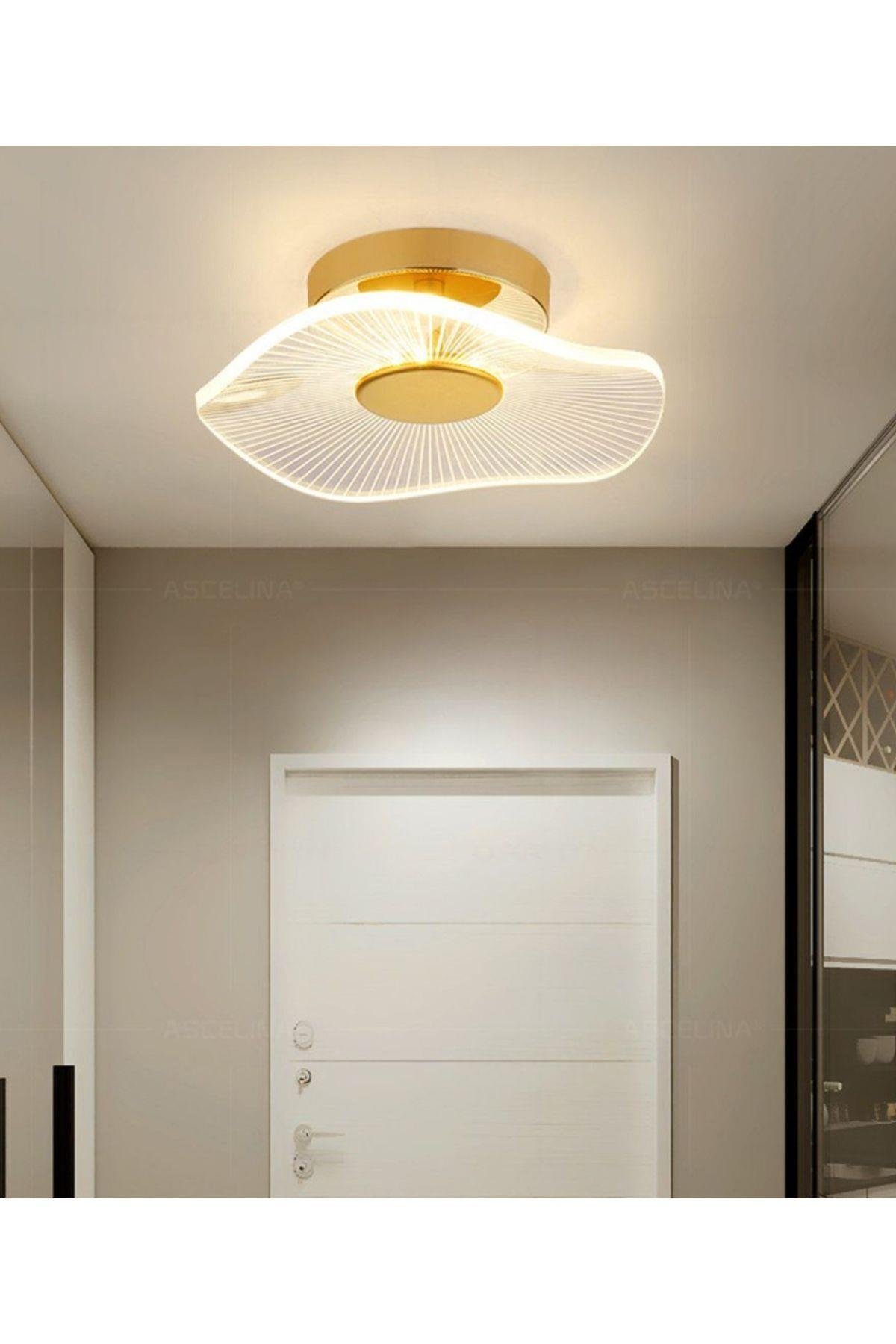 modern-plafonyer-lotus-tekli-tavan-avi--80986.jpg