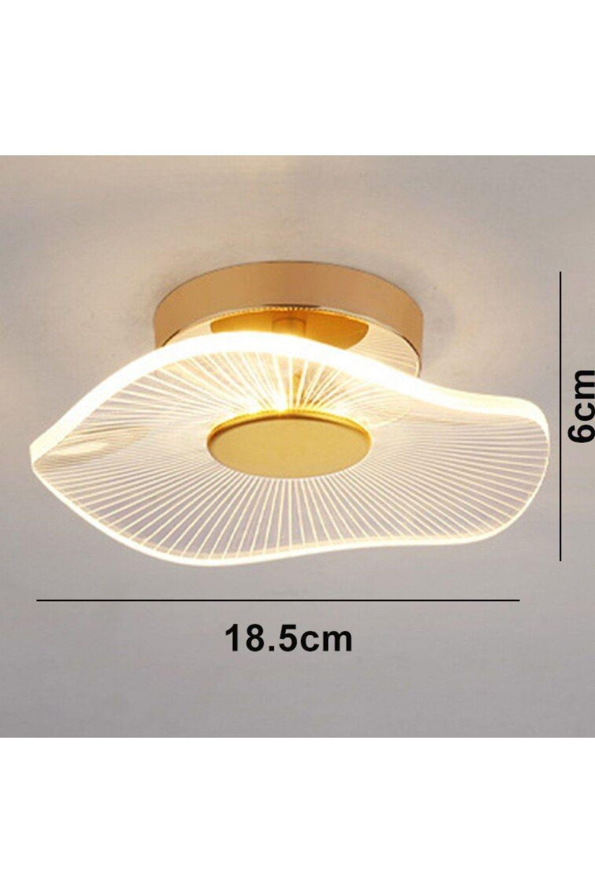 Modern Plafonyer Lotus Tekli Tavan Avize French Gold Sarı Power Led Avize Warm White