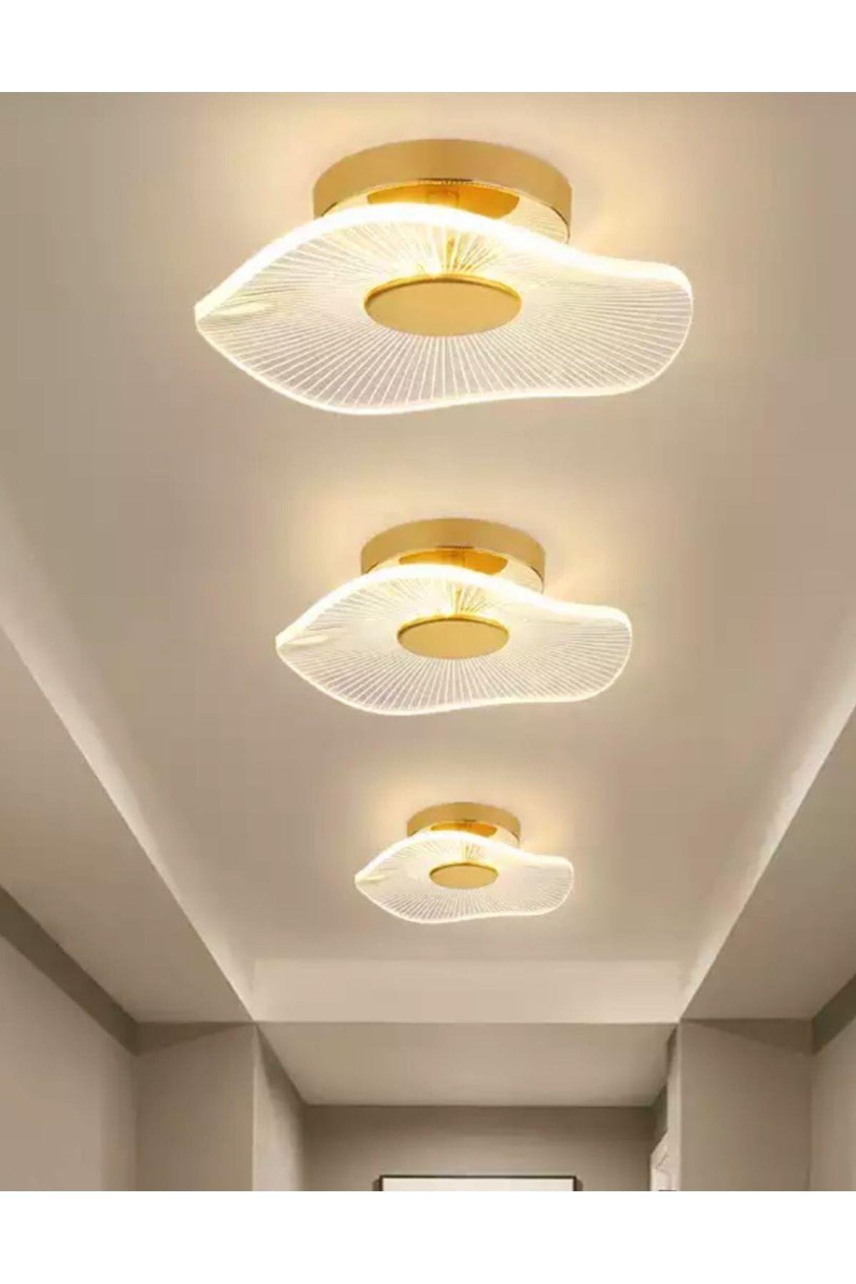 modern-plafonyer-lotus-tekli-tavan-avi-cead18.jpg