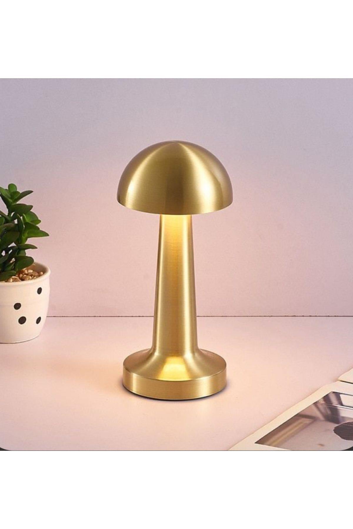 modern-retro-gold-sari-dokunmatik-usb--43fb49.jpg