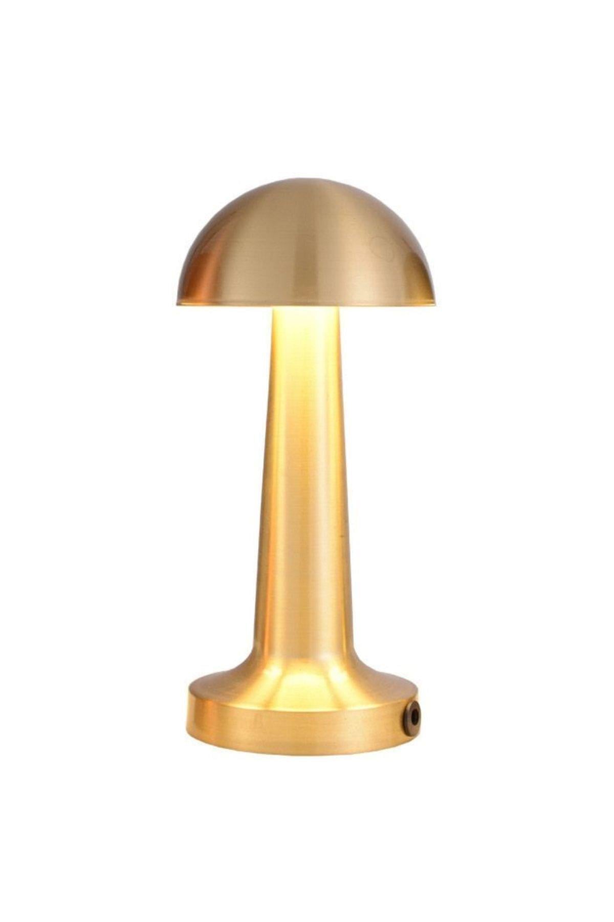 modern-retro-gold-sari-dokunmatik-usb--b47cb8.jpg