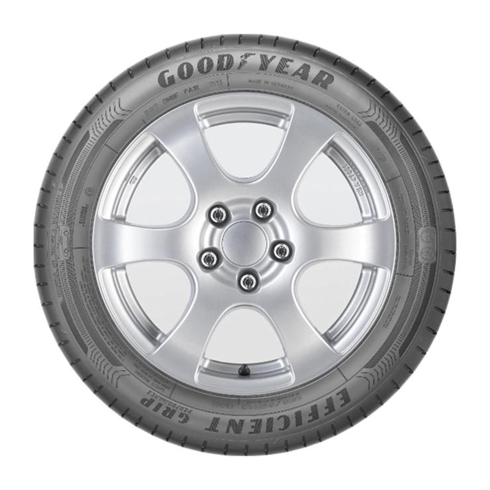 Goodyear - Efficientgrip Performance (205/55R16 91V)
