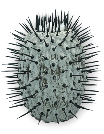  Seramik Kaktüs – Dikenli Model