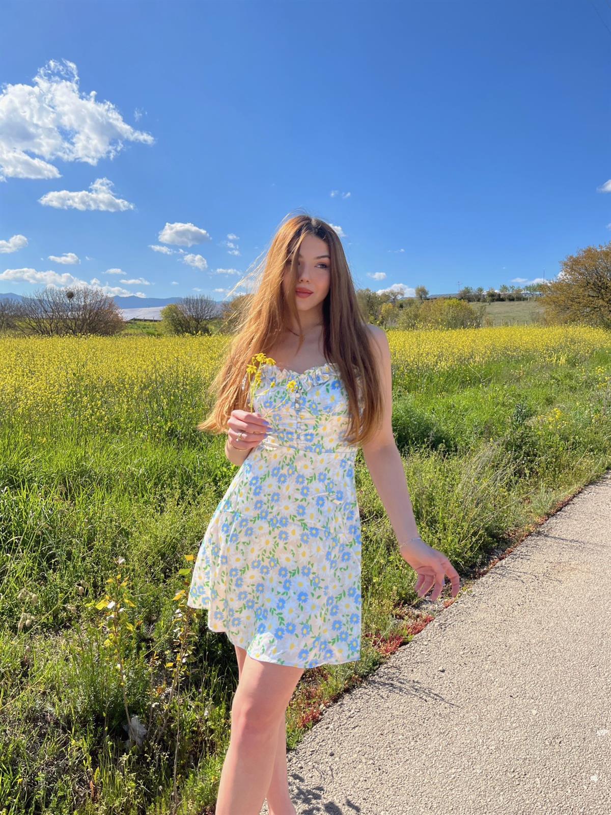 Daisy Çiçek Desen Saten Mini Elbise