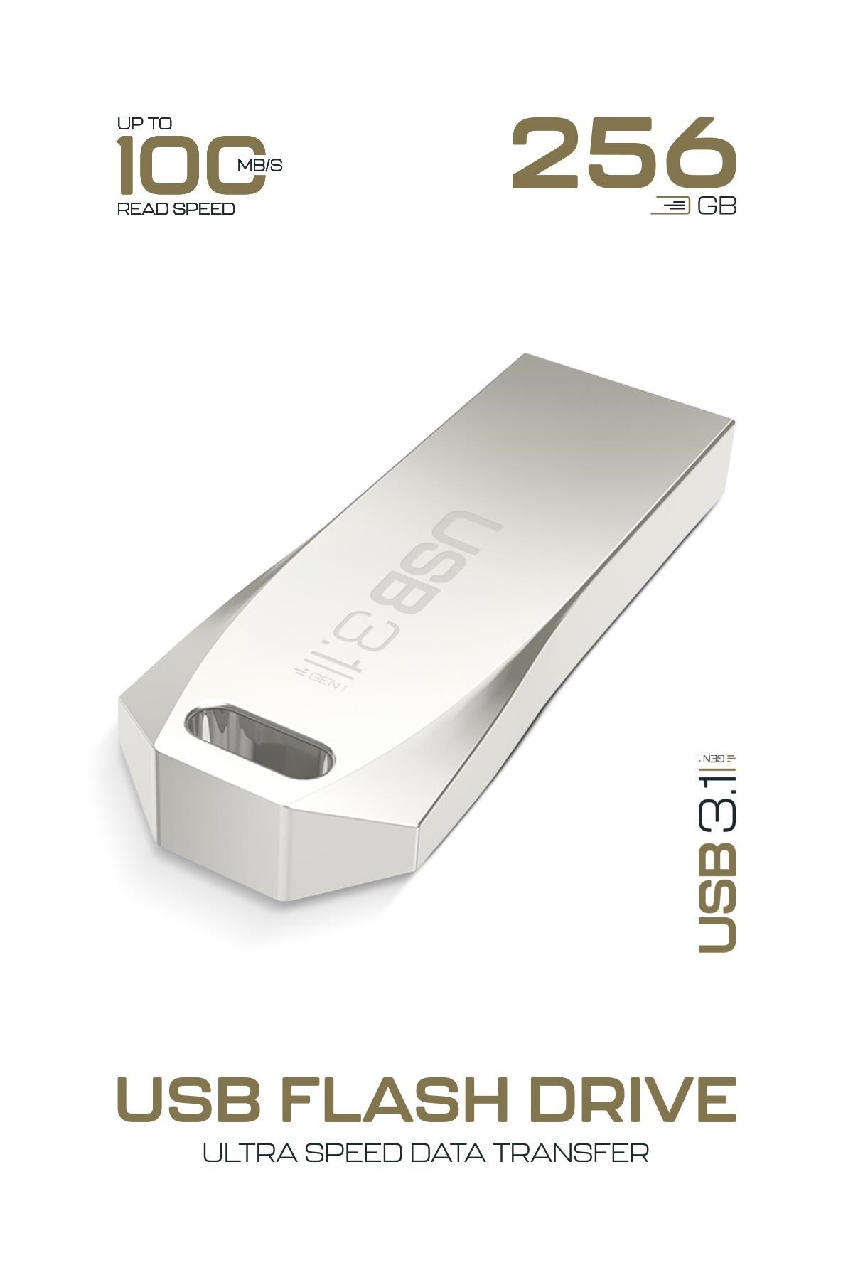 Powerway Premium 256 GB USB 3.1 Metal Gövde Ultra Hızlı Flash Bellek Data Traveler