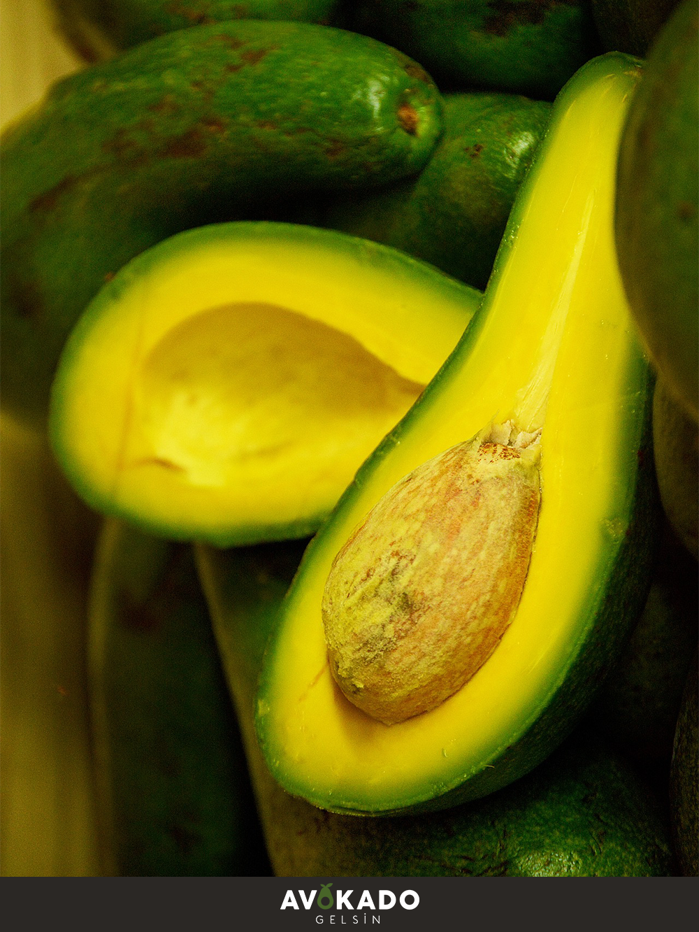 Organik Bebek Avokado 500 Gram