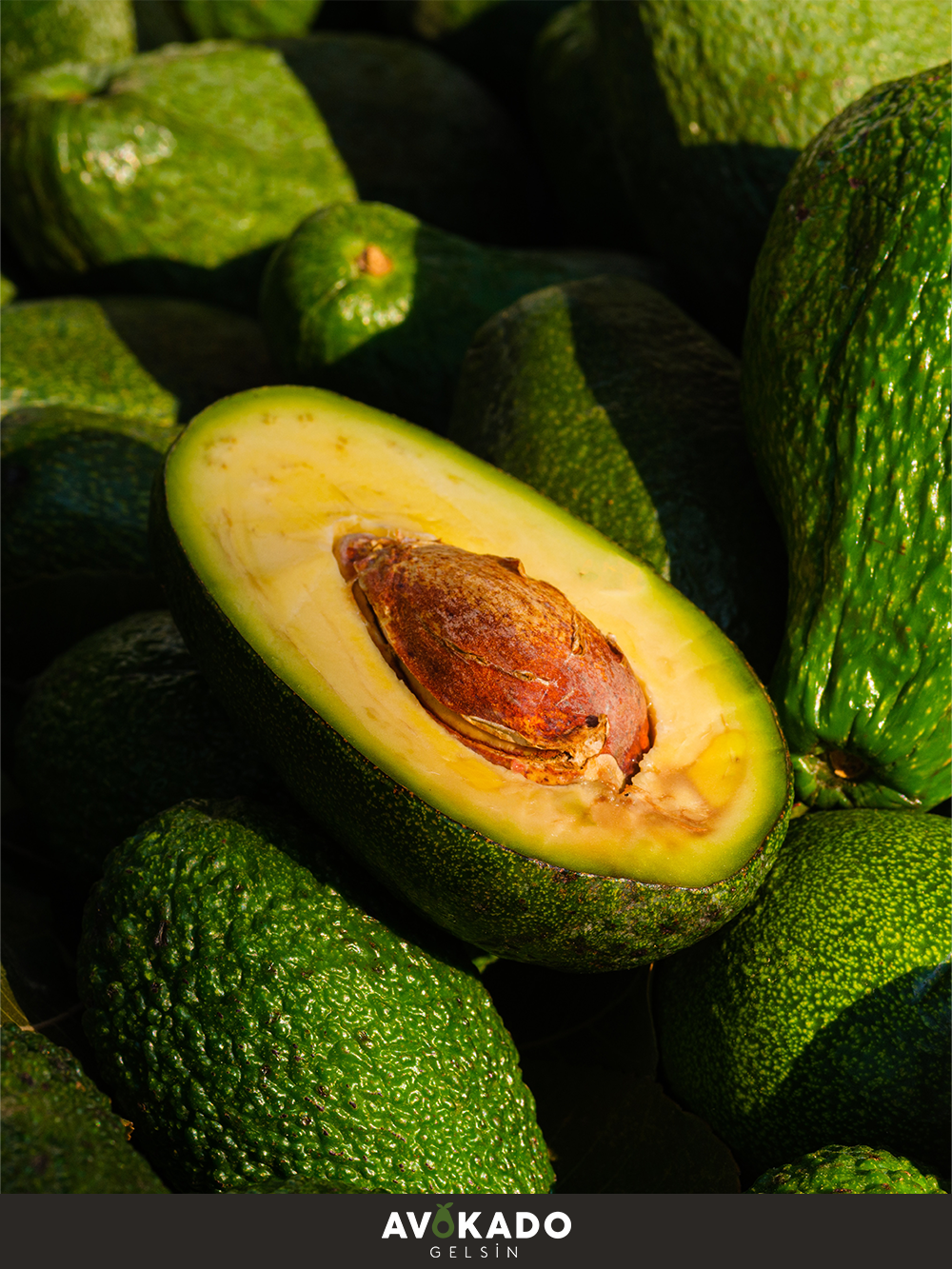 Organik Bebek Avokado 500 Gram