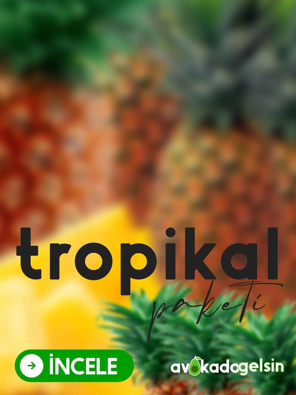 Tropikal Paketi