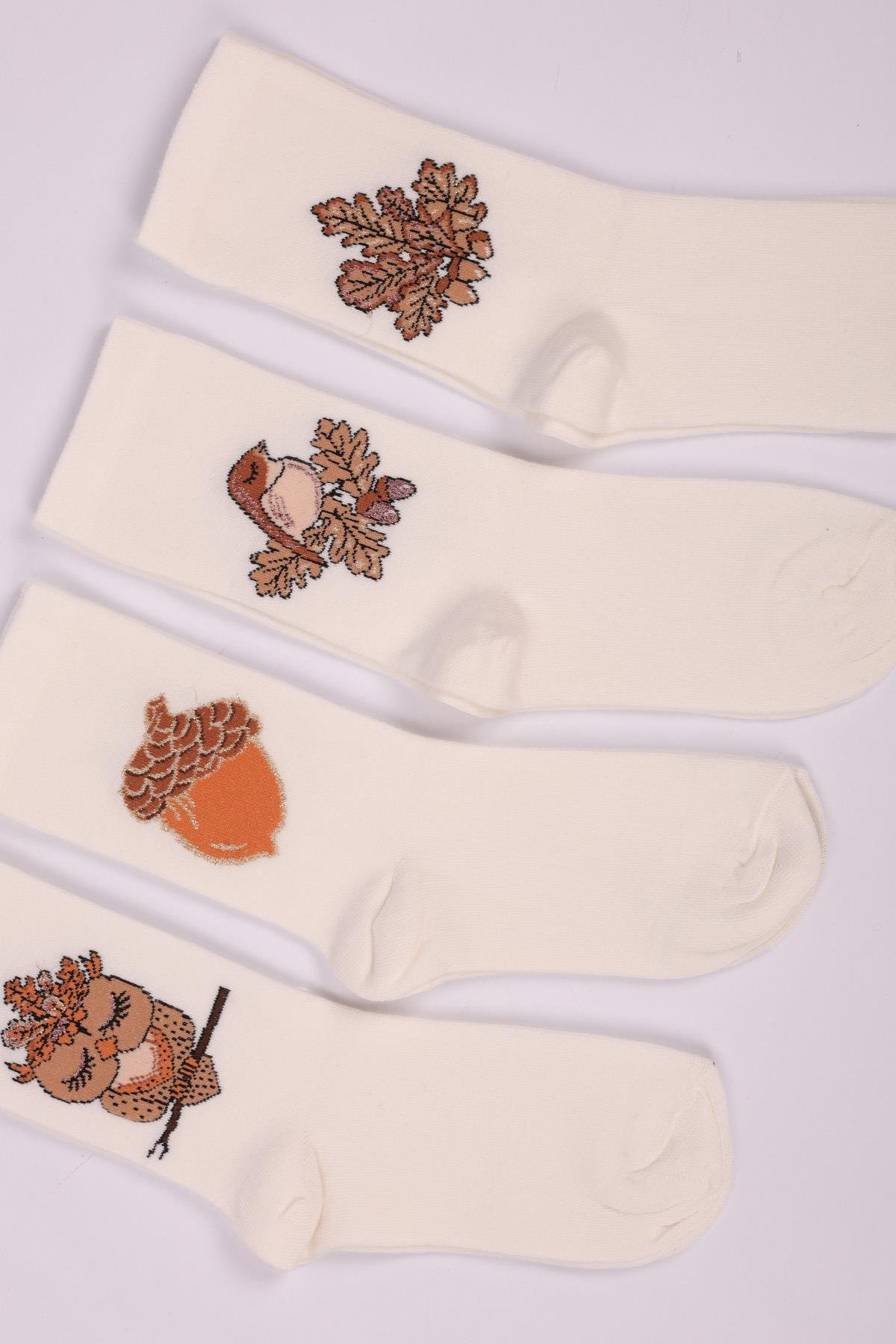 مجموعة من 4 جوارب بناتي منقوشة على شكل بومة ASORTI