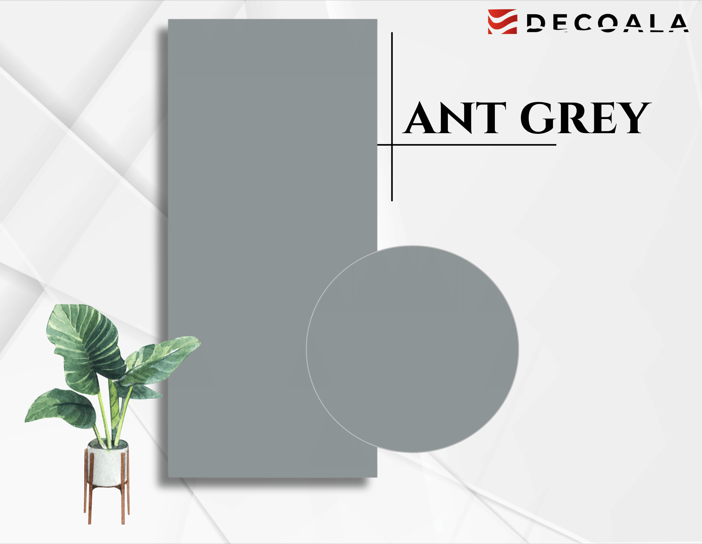 Ant Gray