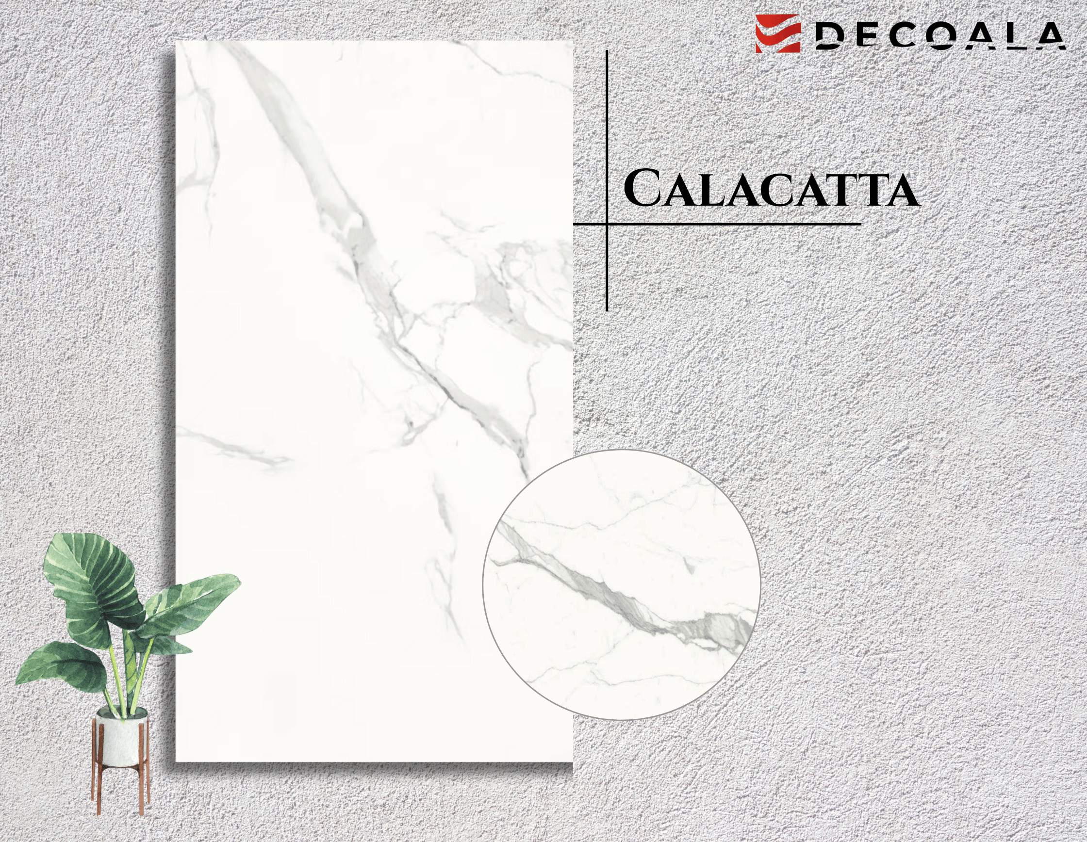 Calacatta