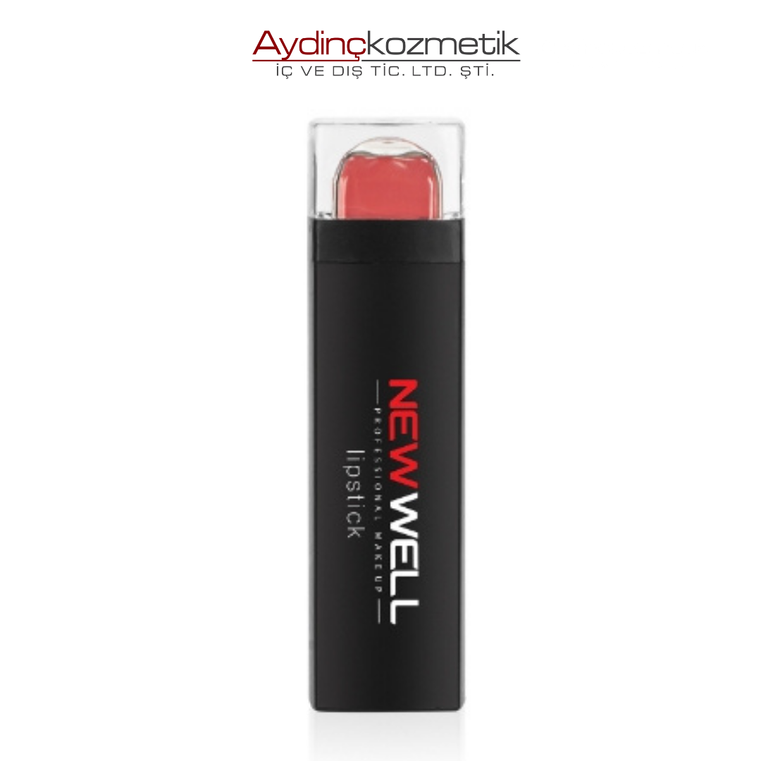 New Well Matte Lipstick 04