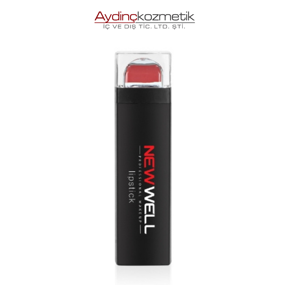 New Well Matte Lipstick 05