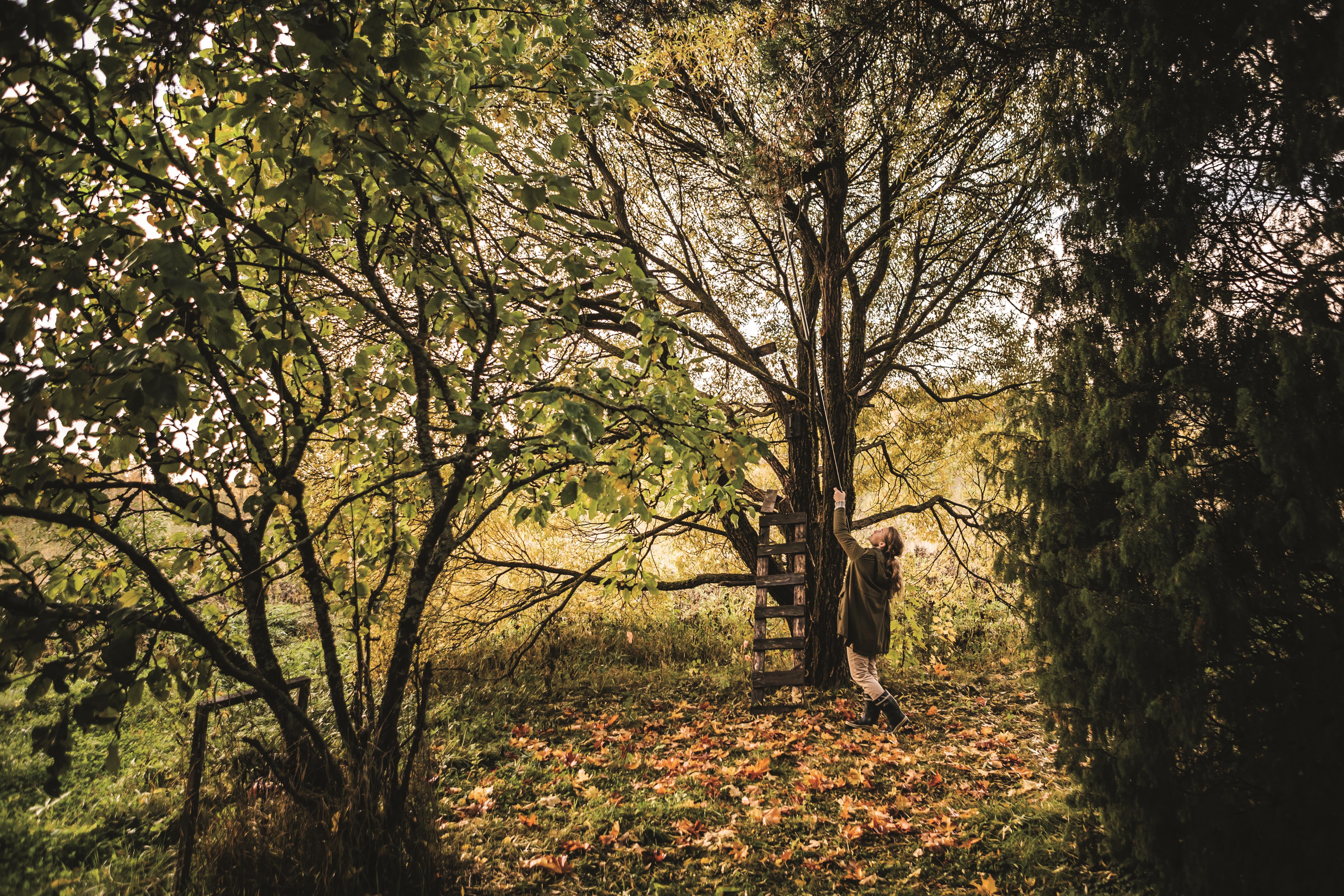 Fiskars UPX86 Yüksek Dal Budama Makası