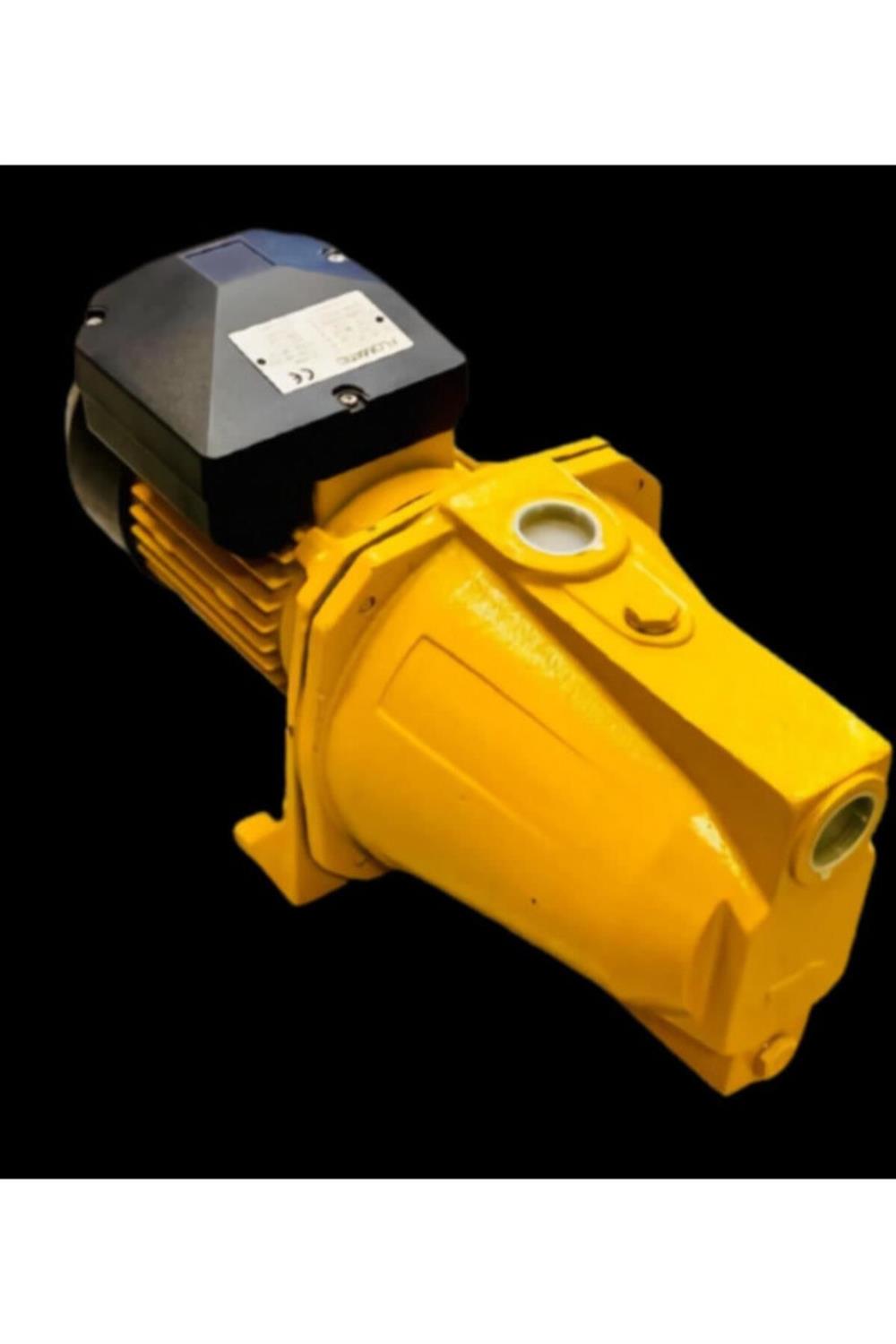 Flomatic Jet 100 M 1 HP 9 Mt. Emişli Döküm Gövdeli Jet Pompa