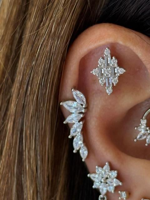 PaizSilver Taşlı Ataç Küpe 
