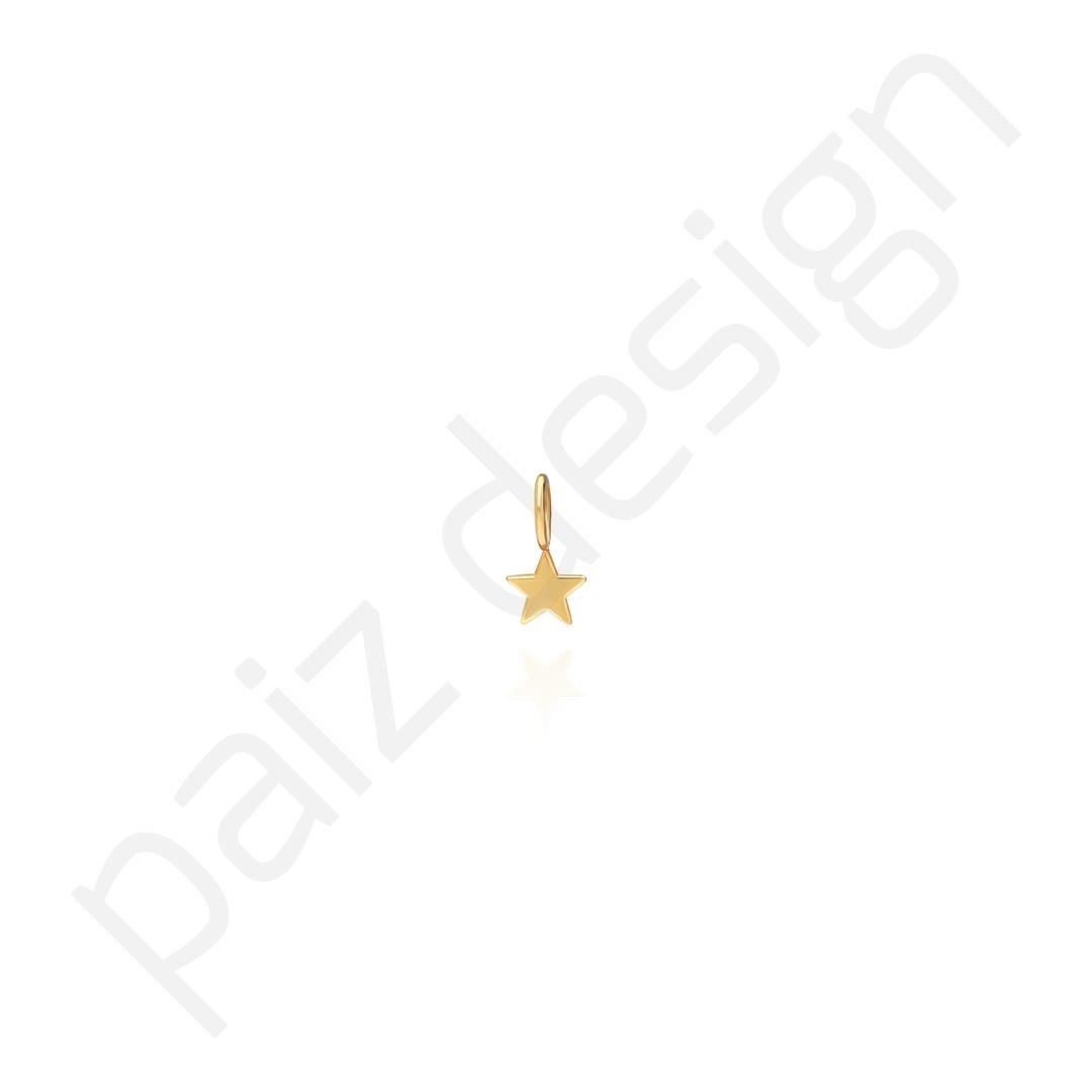 PaizStar Charm 