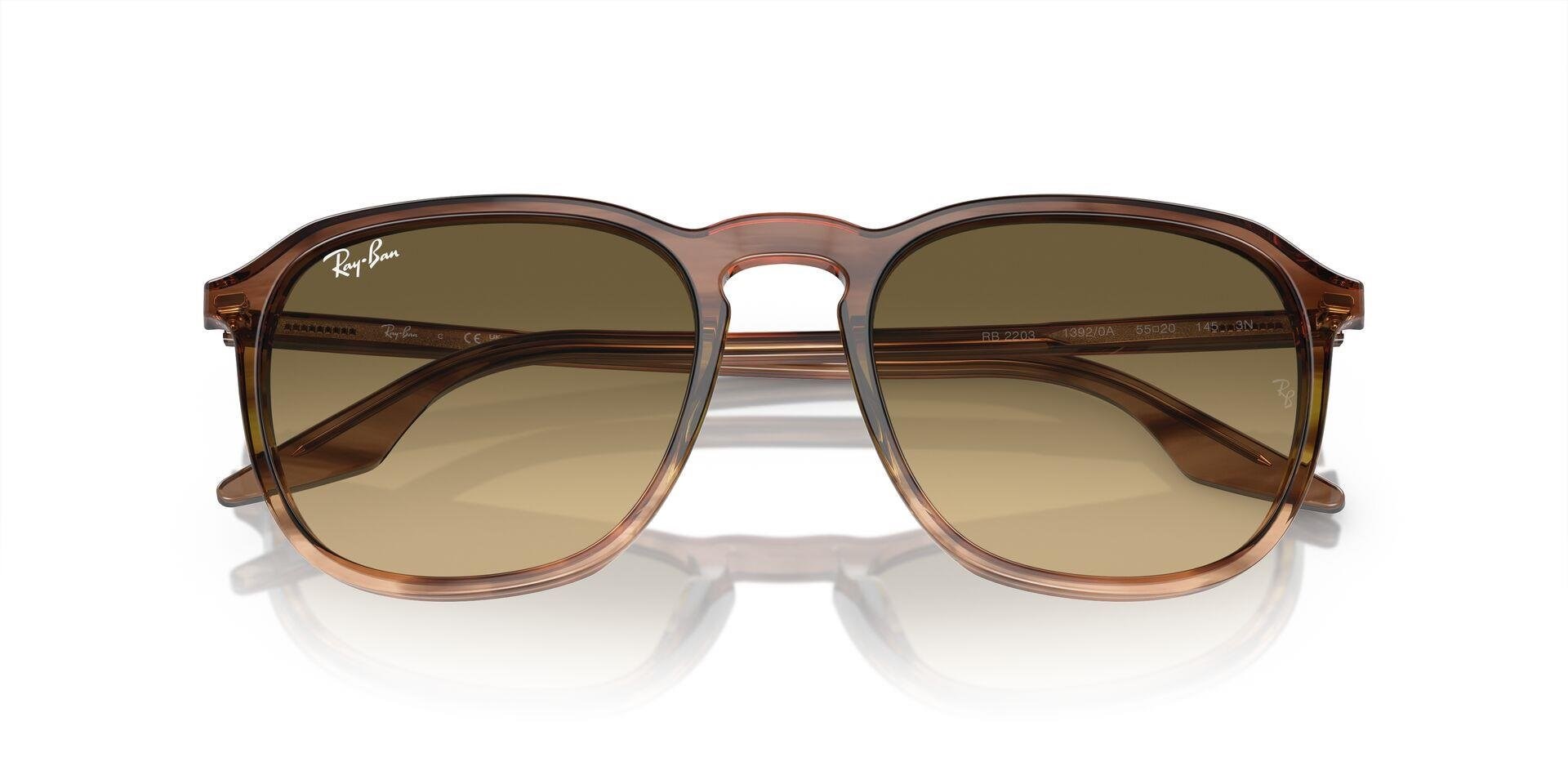 RAY-BAN RB 2203 13920A 55 Güneş Gözlüğü