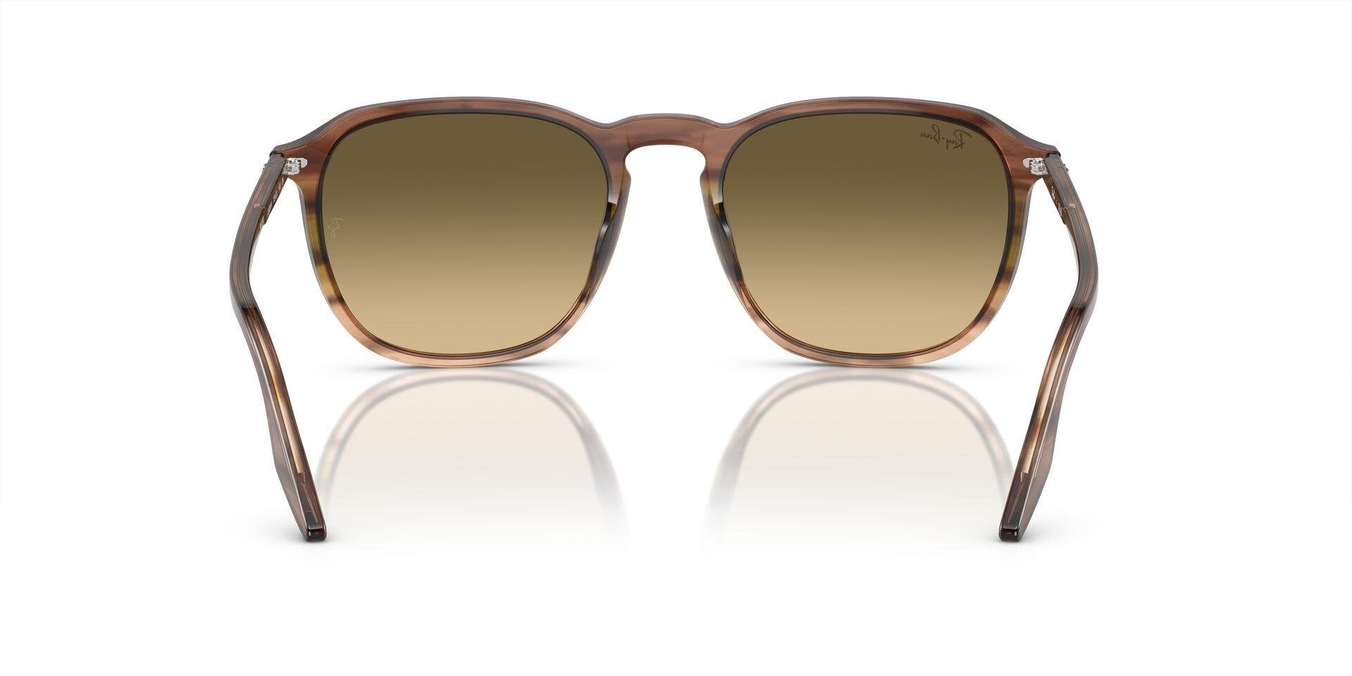 RAY-BAN RB 2203 13920A 55 Güneş Gözlüğü