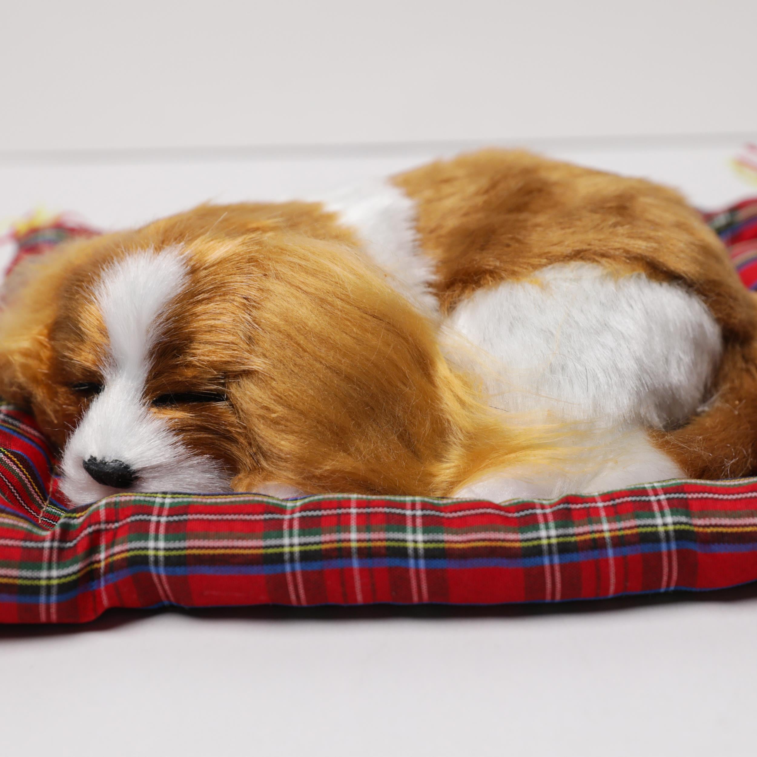 Minderde Uyuyan Sevimli  Köpek
