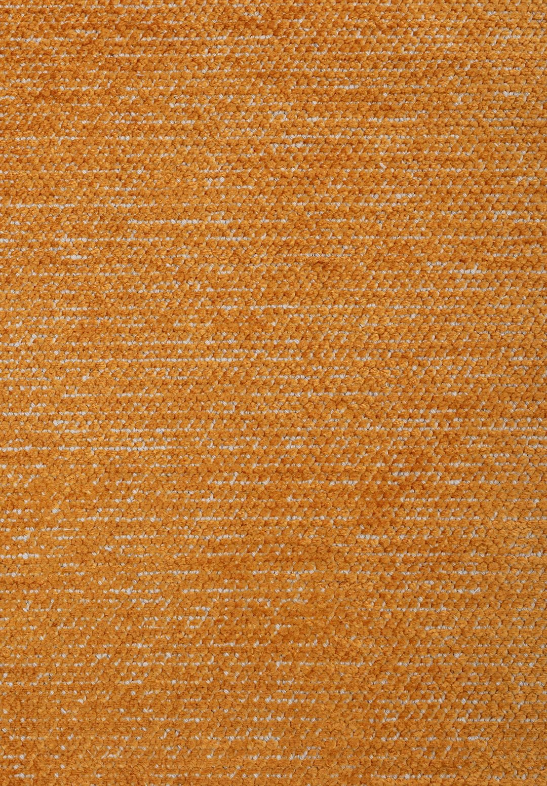 2024-E-4031