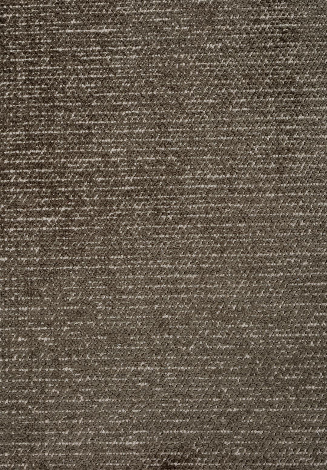2024-E-5501