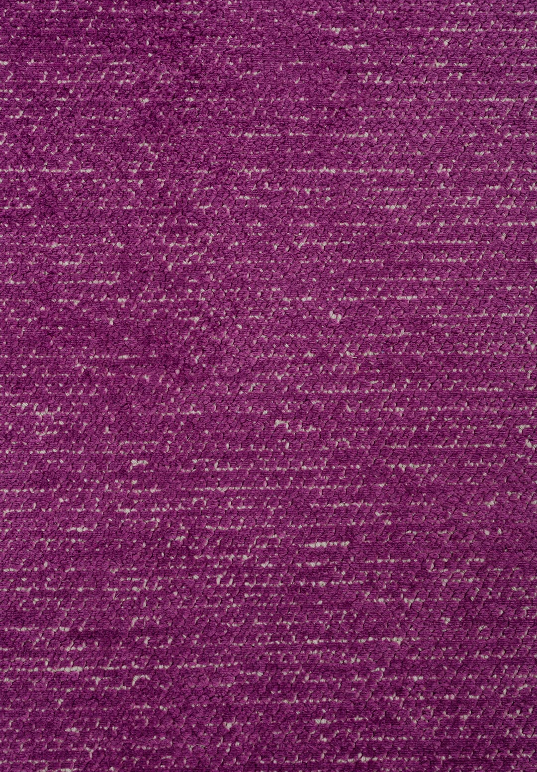 2024-E-5531
