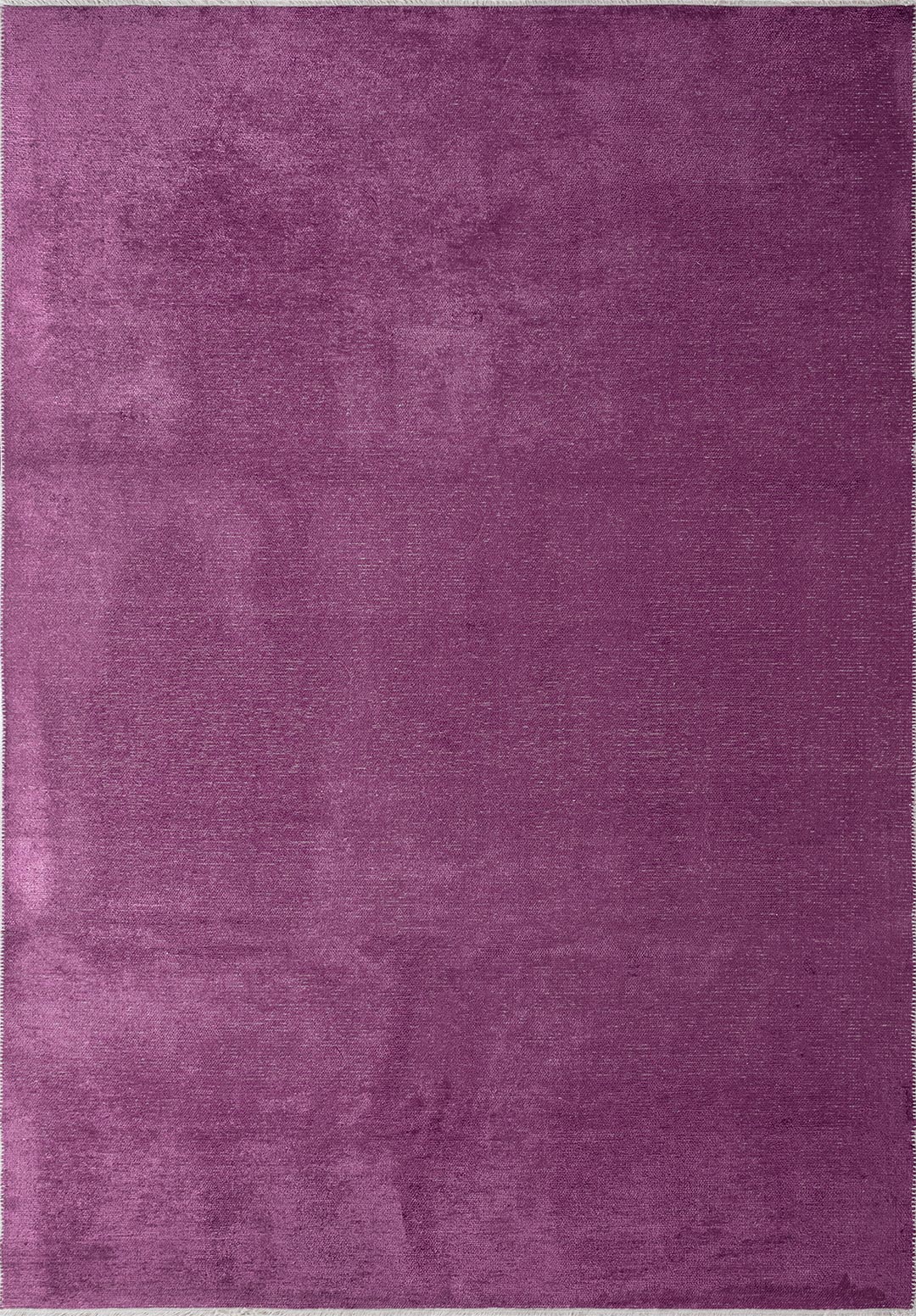 2024-E-5531