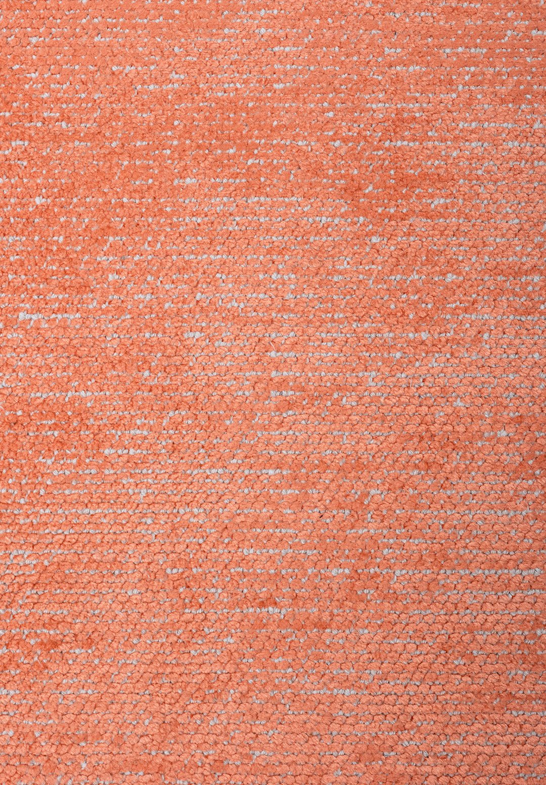 2024-E-6451