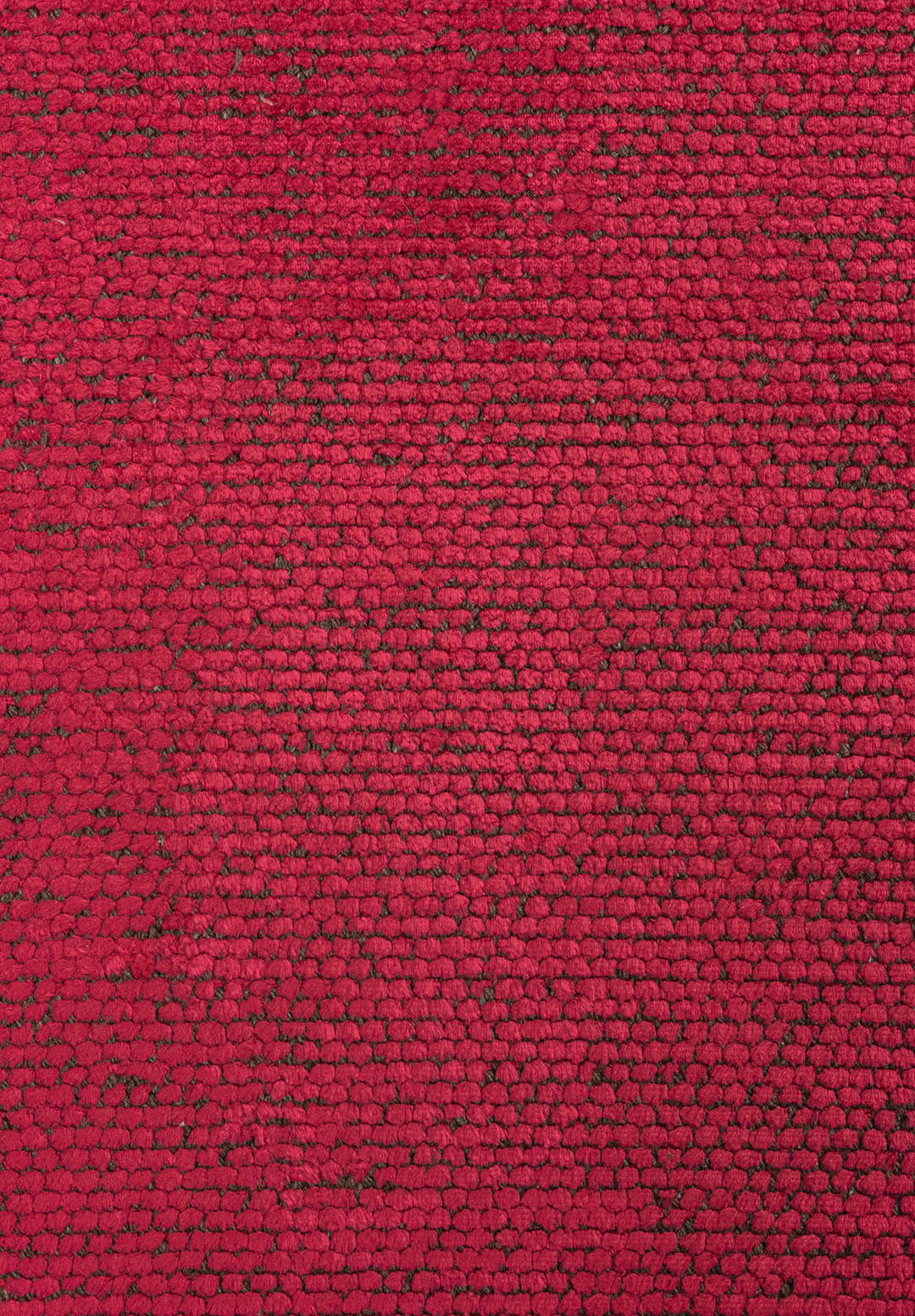 2025-C-3668