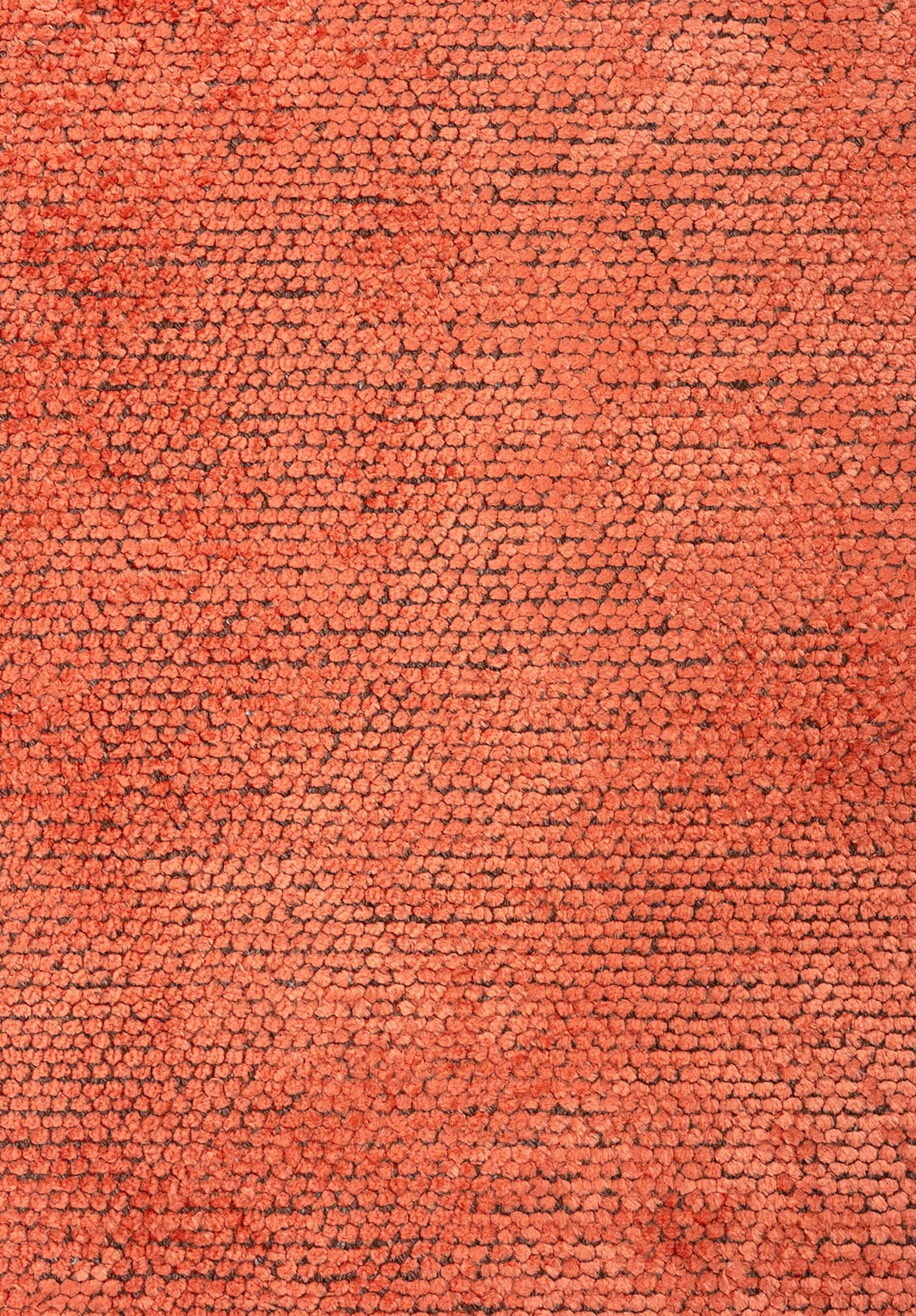 2025-C-6451