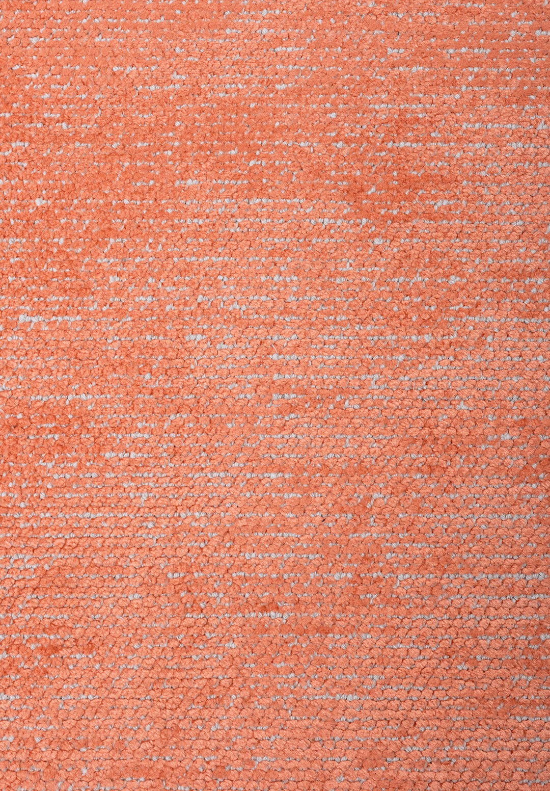 I-2024-E-6451_160230