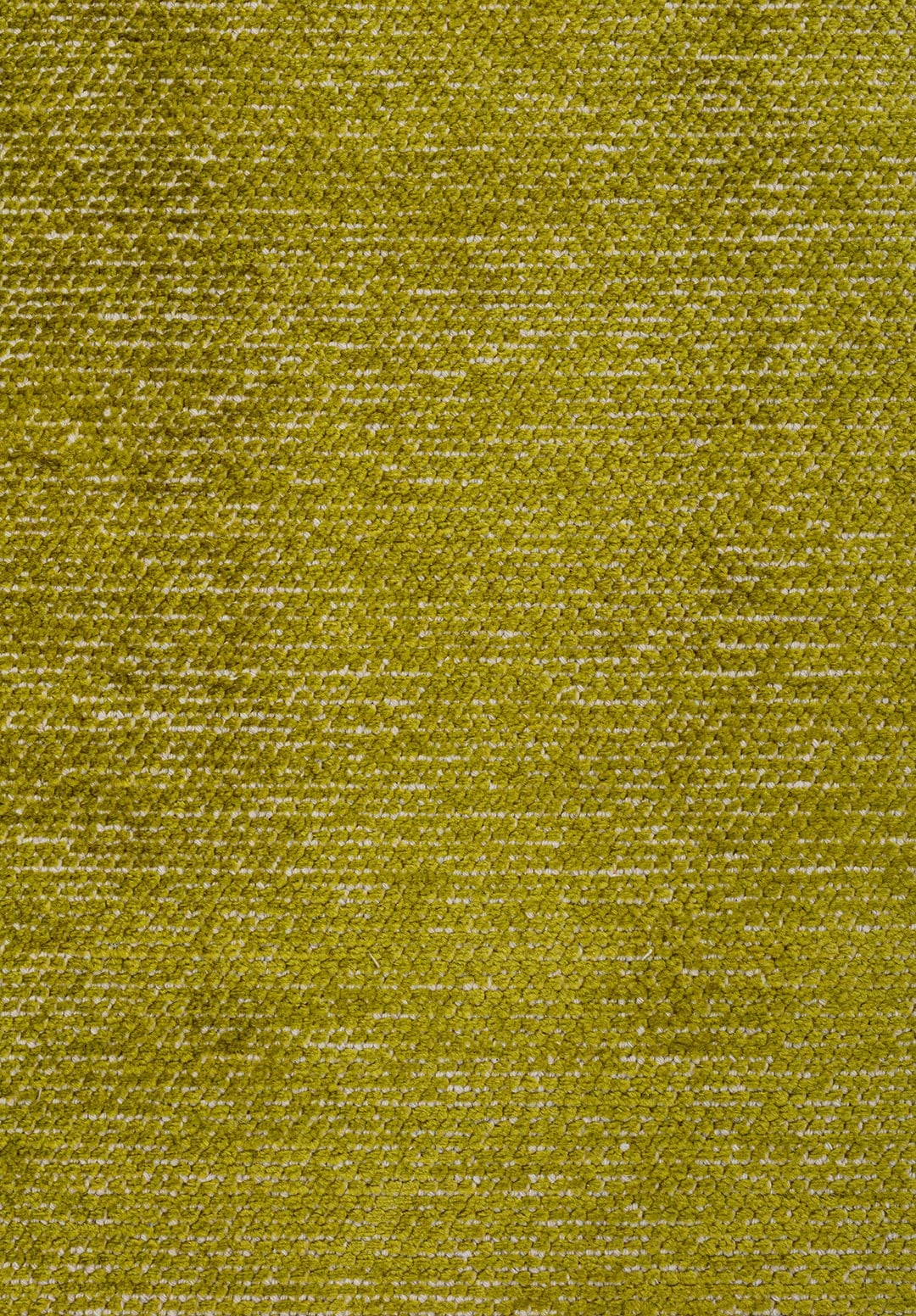 I-2024-E-7741_80250